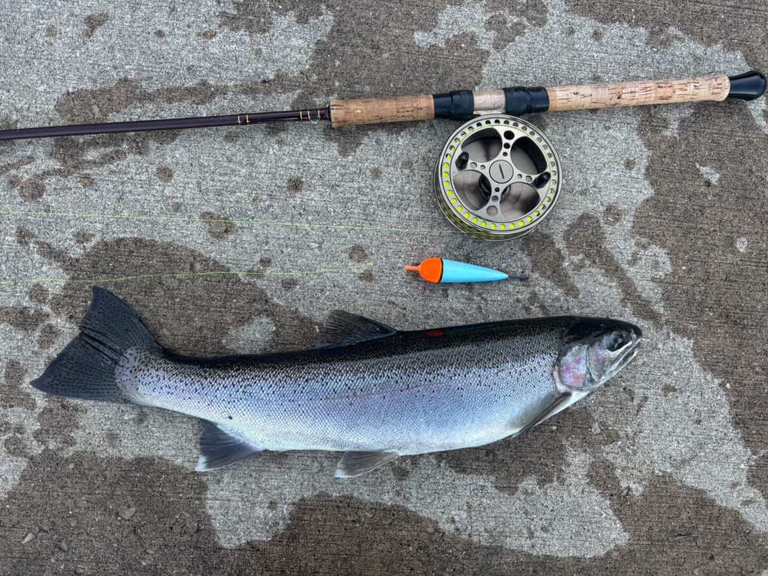 Why Serious Steelhead and Salmon Anglers Are Switching to Glow Floats