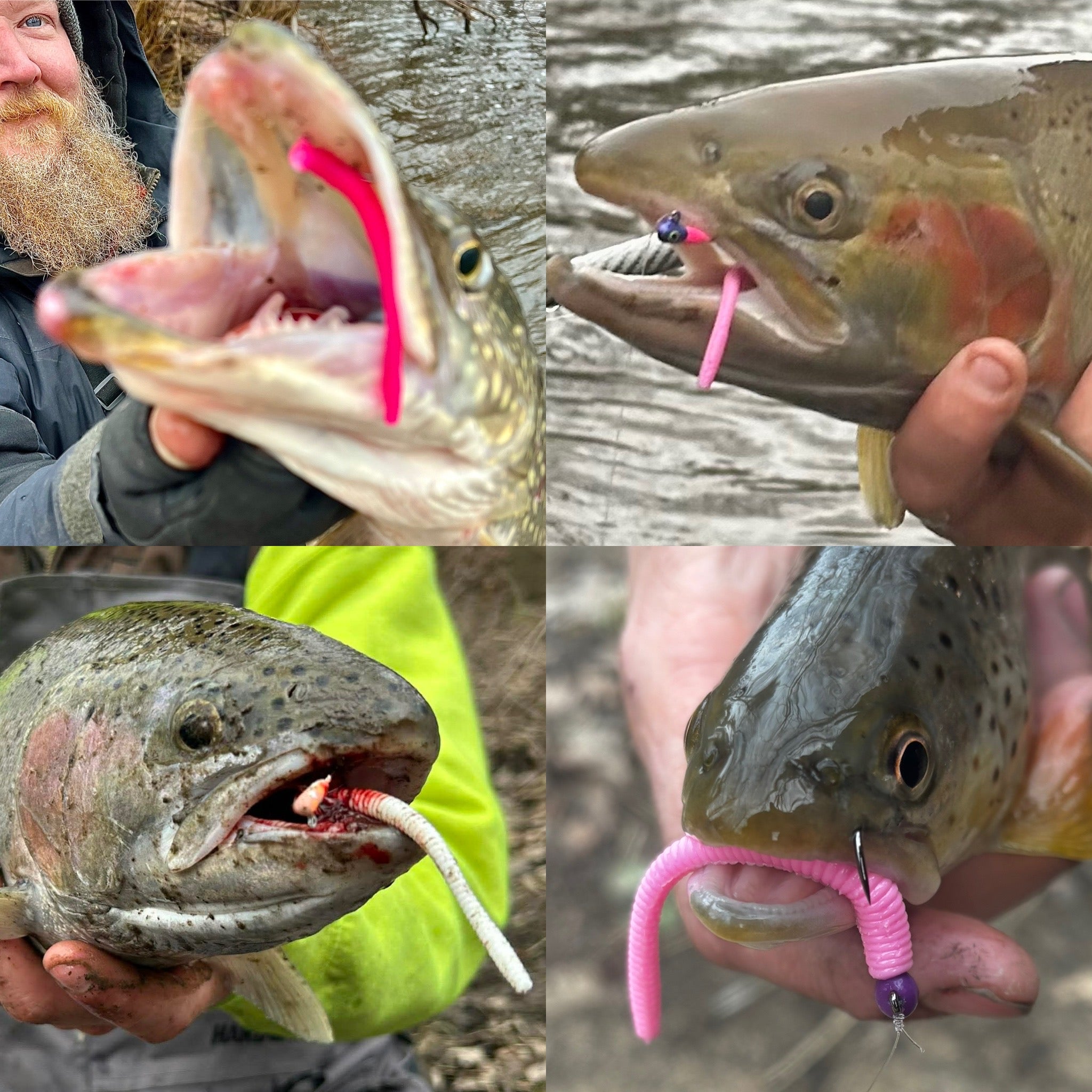 Soft Plastic Lures