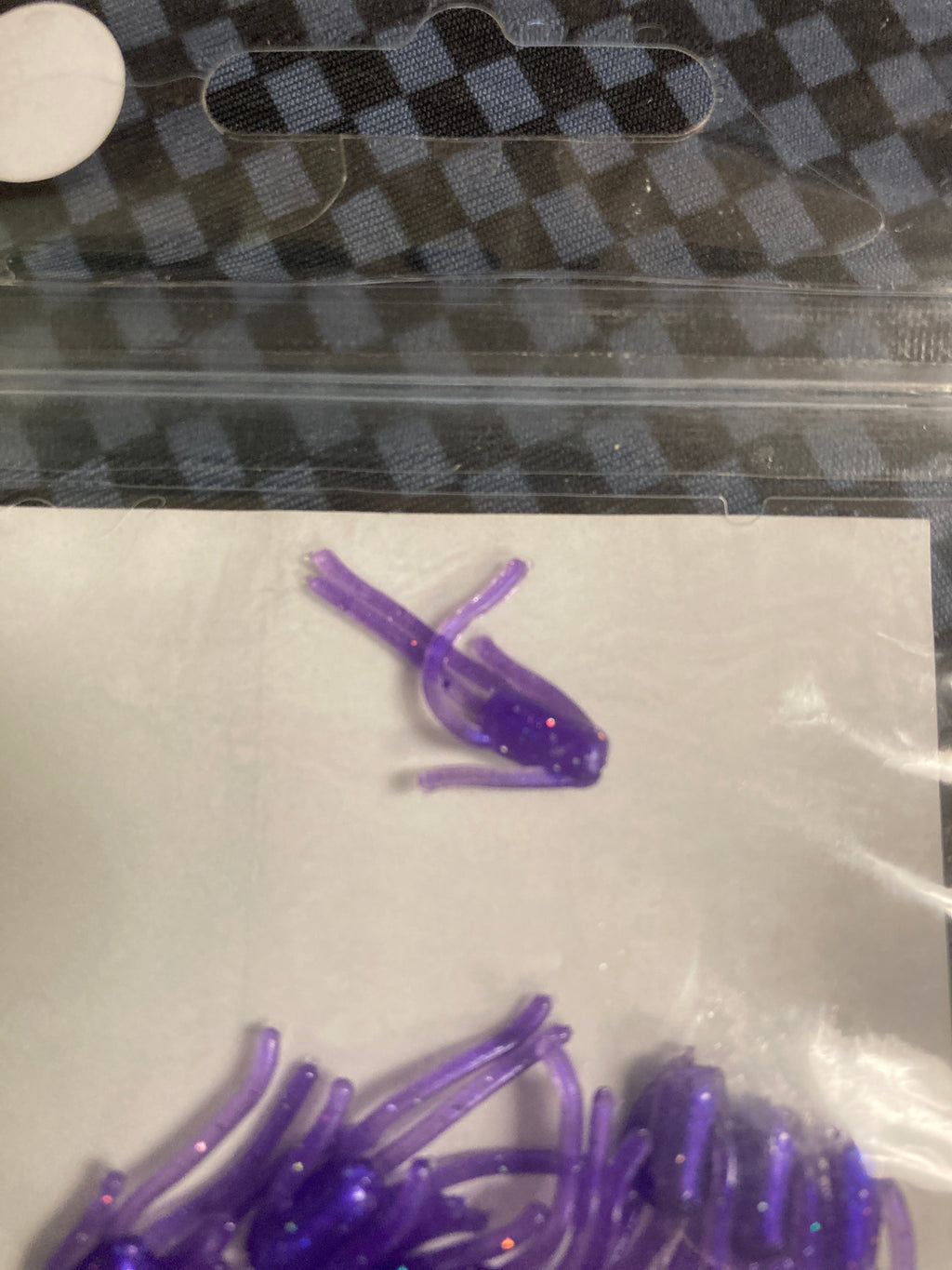 Crazy legs purple