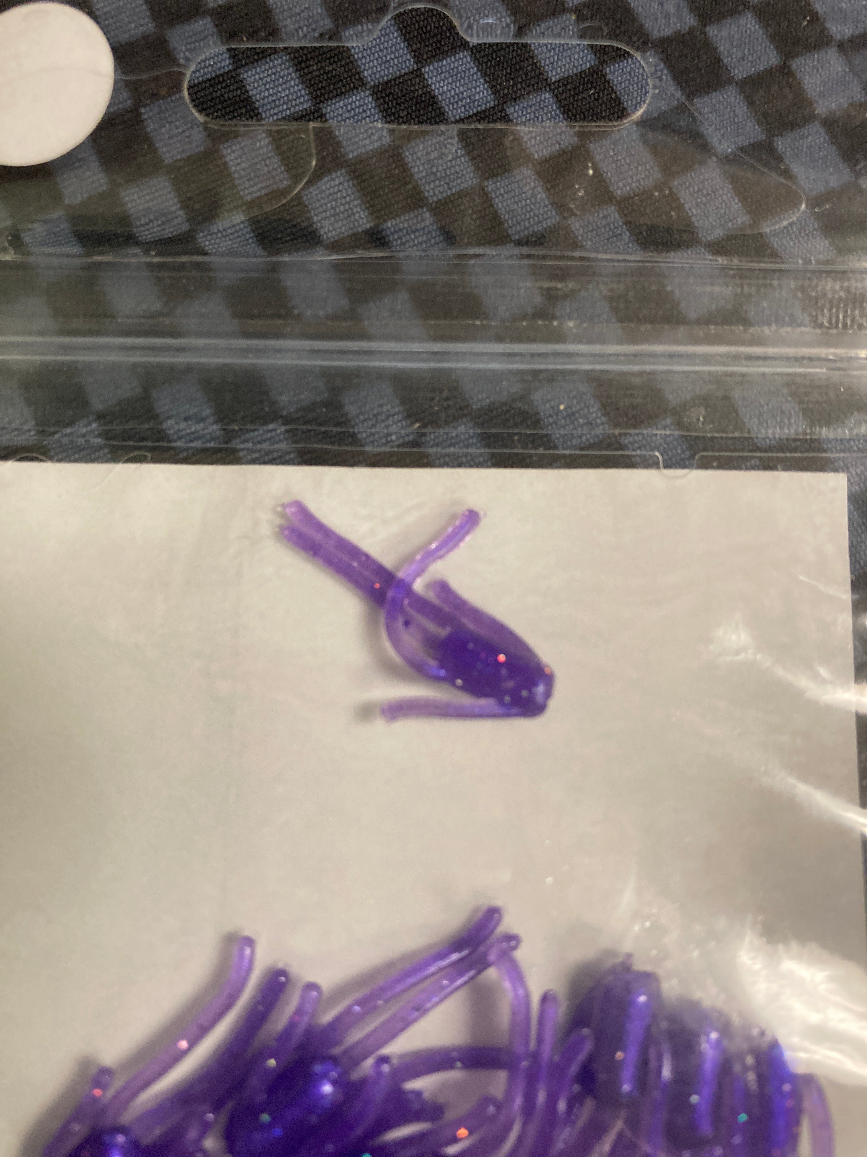 Crazy legs purple