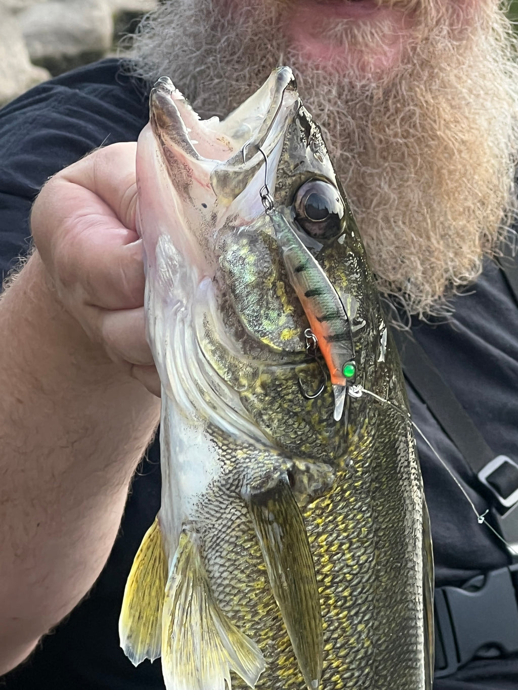 Speckled green jerkbait lure with orange stripe and green eye, shown close-up