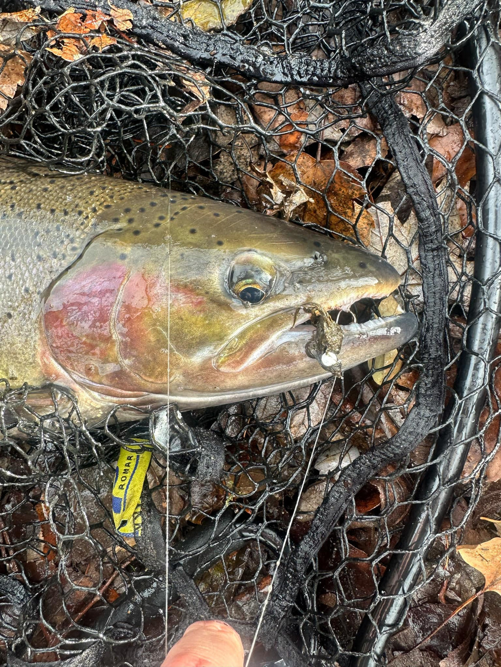 Olive Burger  1/32 oz Maribou Steelhead Jig  #4 Hook image 7
