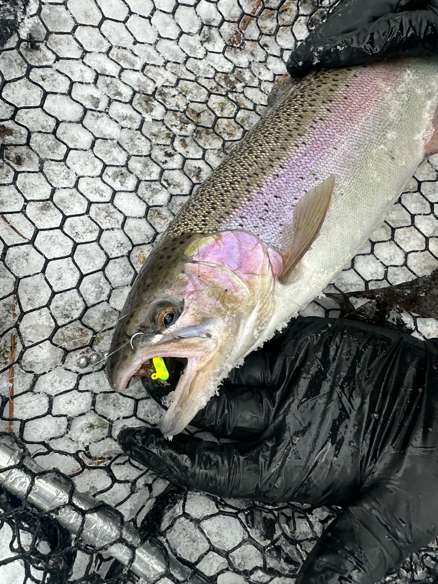 Ye Ole BP 1/16oz Steelhead Tube Jig #4 3X Strong Voodoo Hook image 4