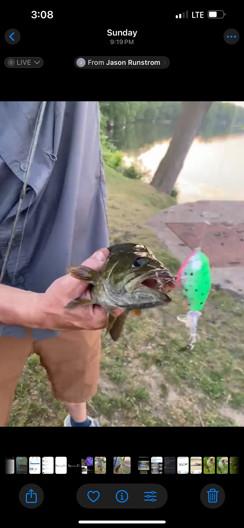 75 mm Flopper Plopper Köder in Grün mit Rosa-Akzenten und 3 starken Haken am Fang