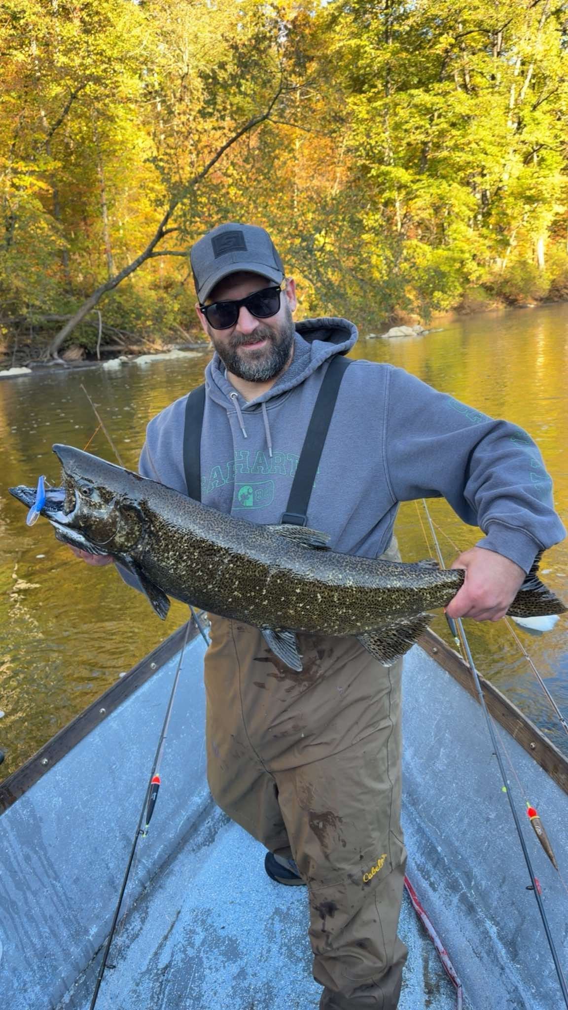Large catfish held on a boat, with blue fishing lure visible near the mouth