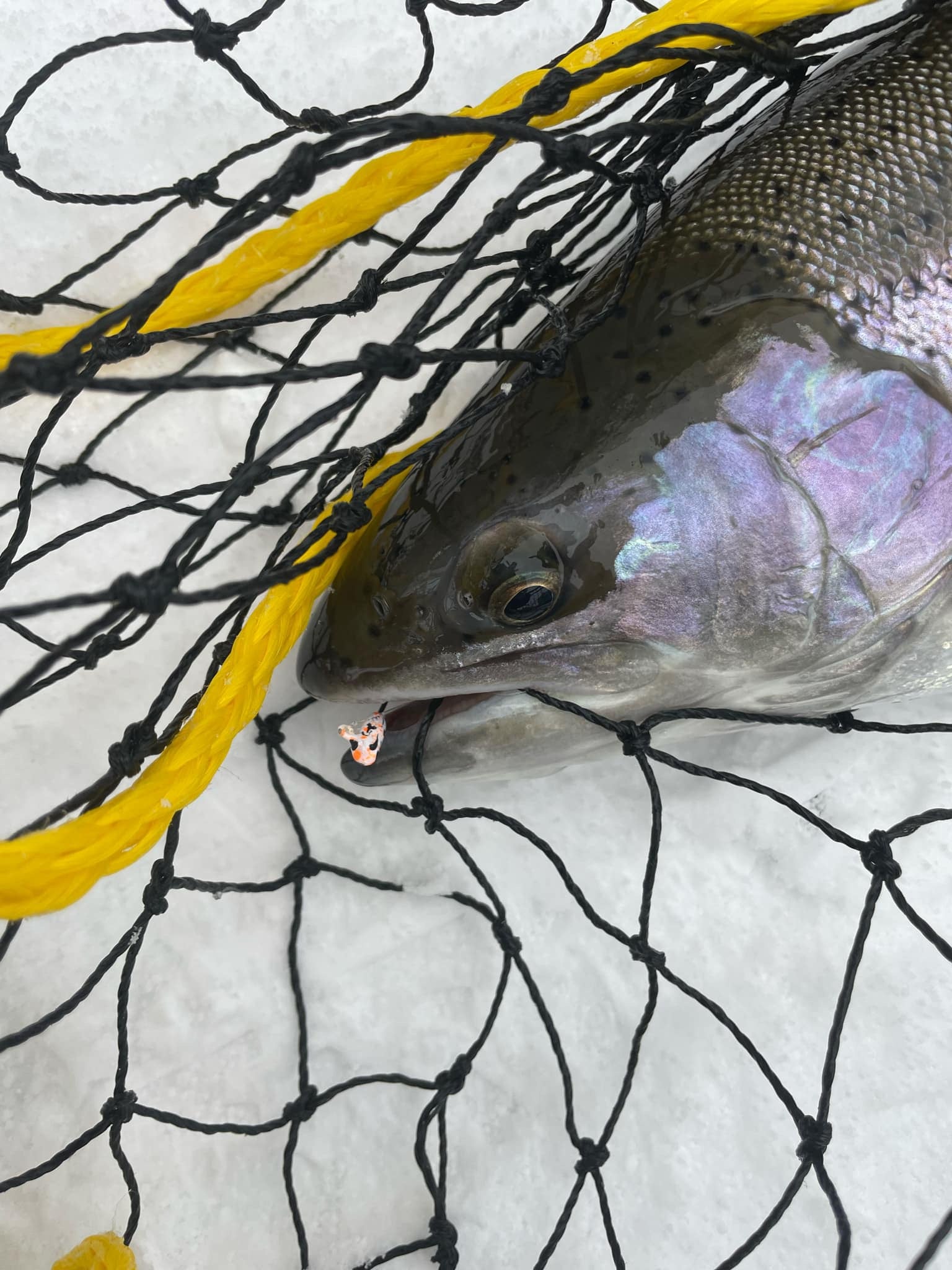 Orange Splat UV 1/16oz Steelhead Tube Jig #4 3X Strong Voodoo Hook image 2