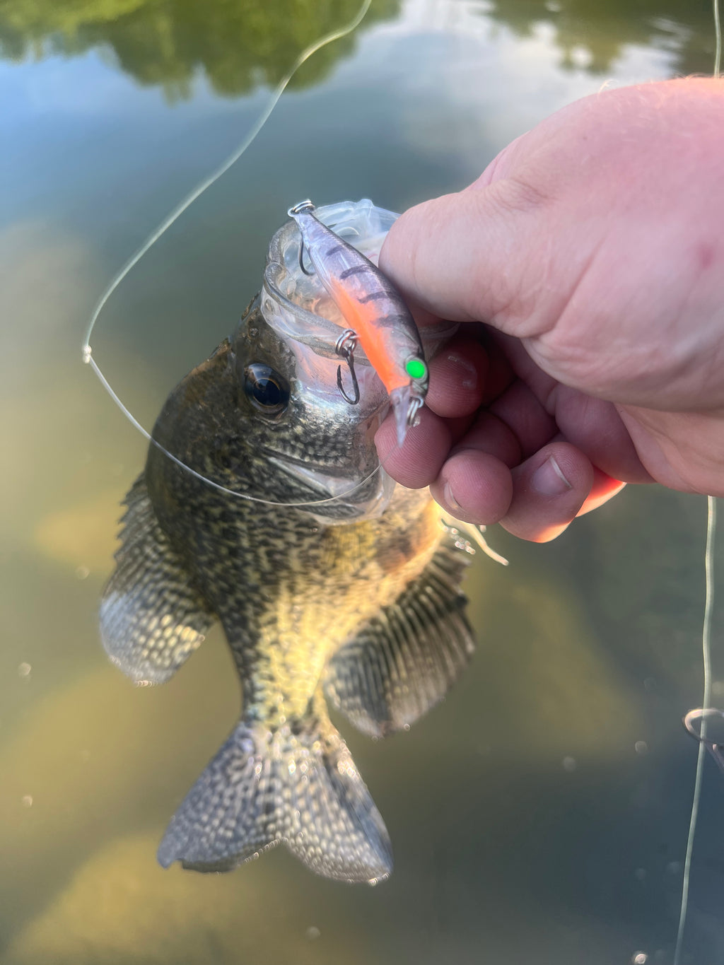 Speckled green jerkbait lure with orange stripe and a glowing green eye
