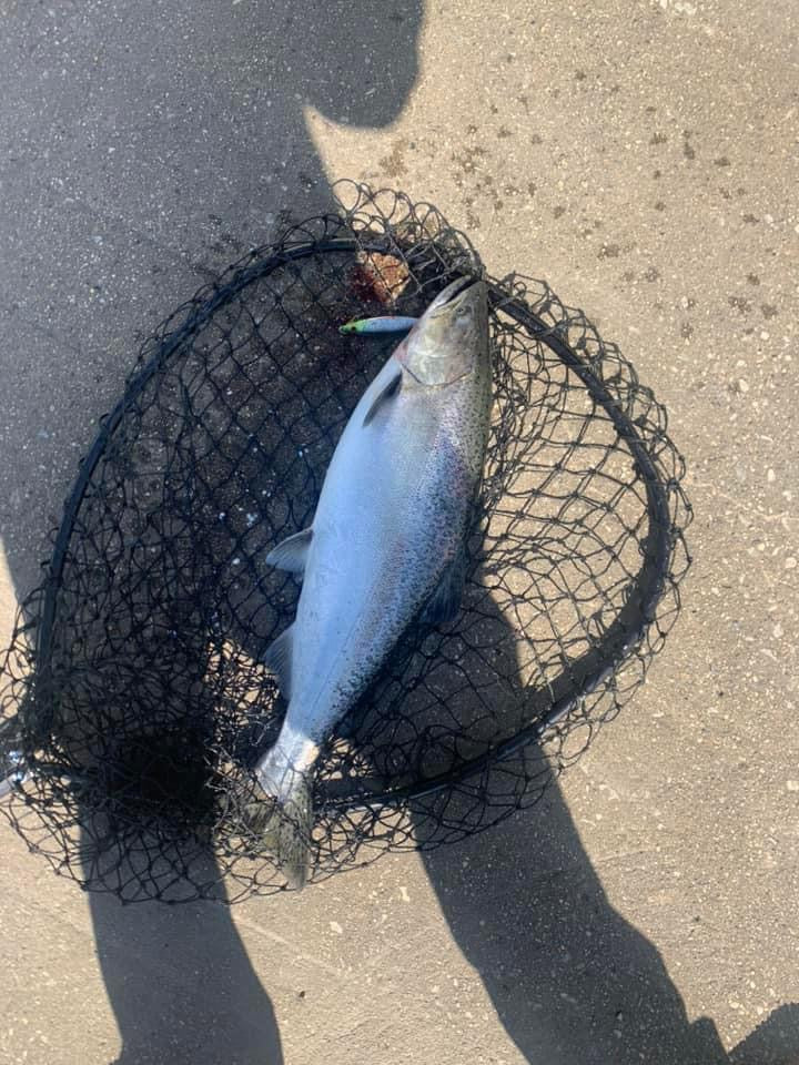 Jigging spoon blue-silver body with spots resting in net