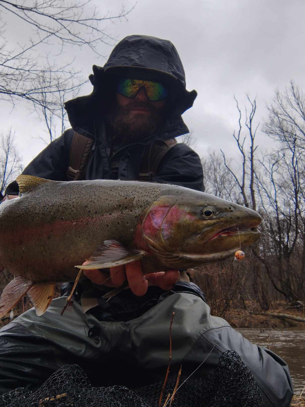 Angler holding steelhead trout catch, outdoor fishing scene