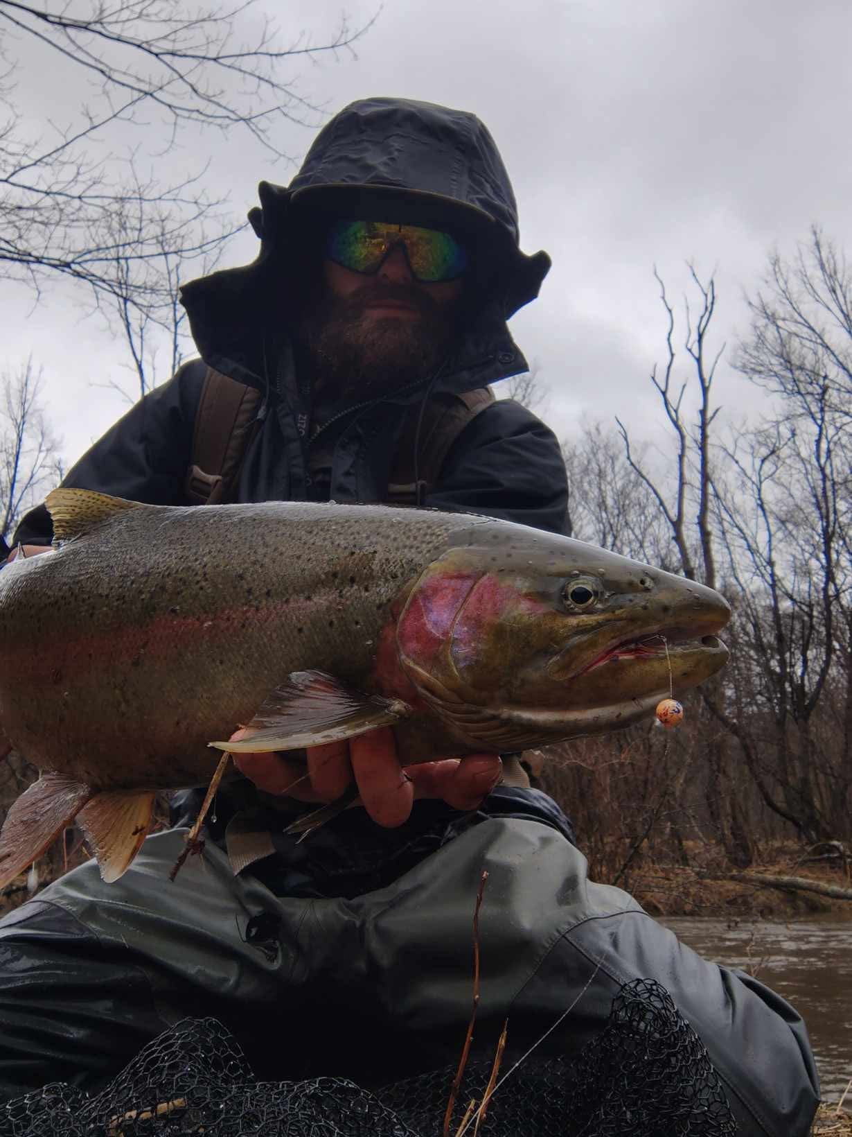 Angler holding steelhead trout catch, outdoor fishing scene