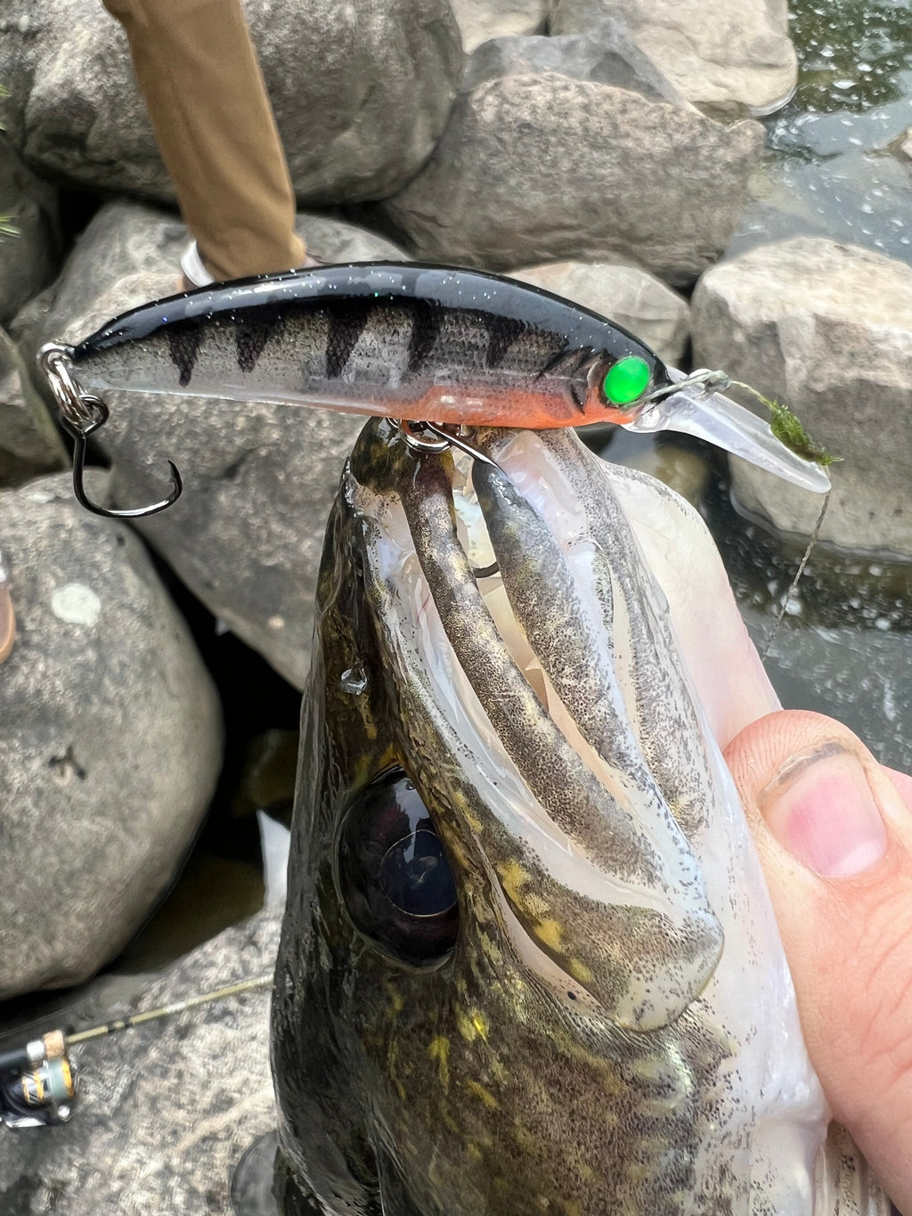 Silver-blue jerkbait lure with green eye and treble hooks