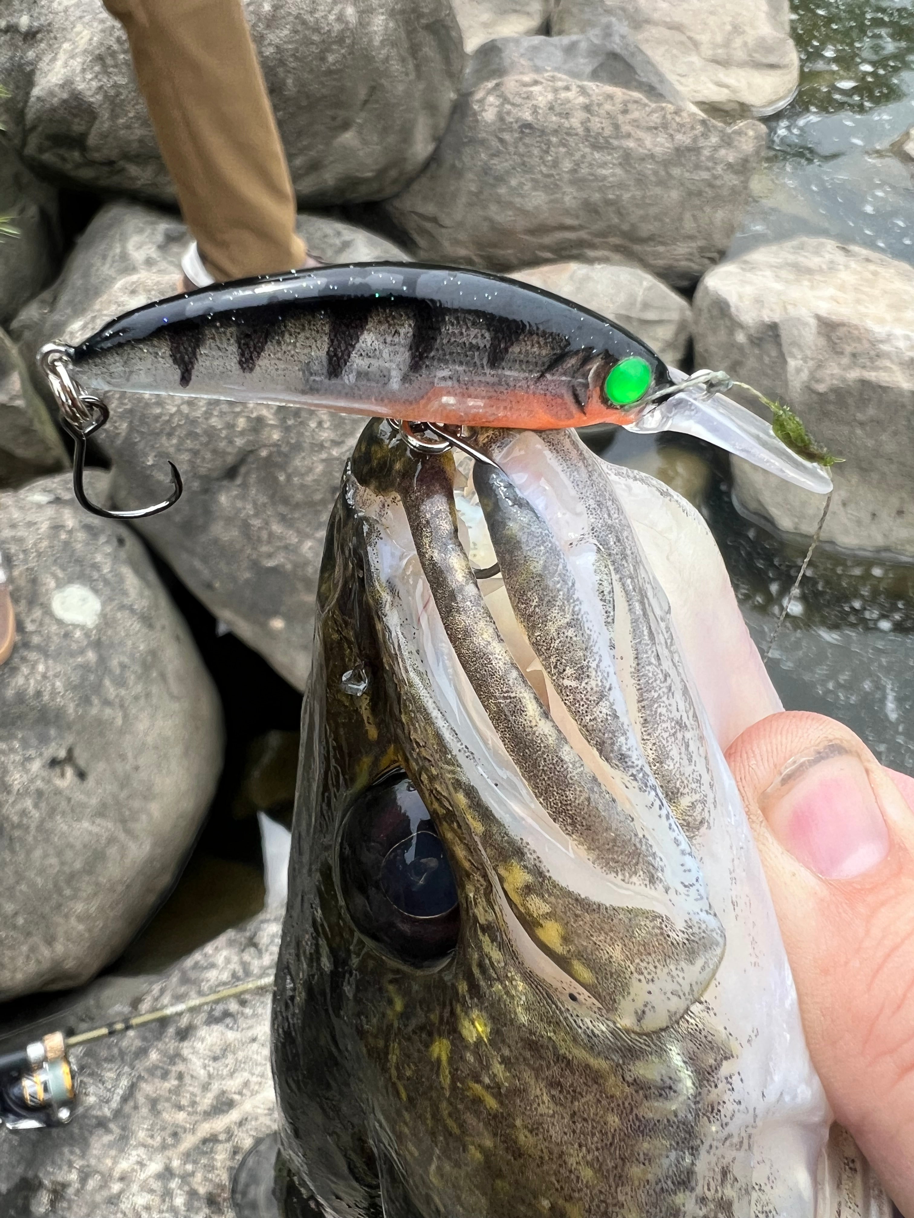 Silver-blue jerkbait lure with green eye and treble hooks