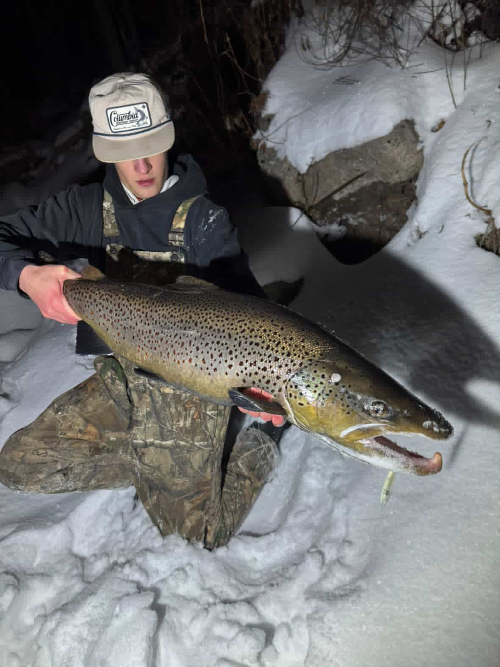 Brown trout with a yellow jigging spoon lure in its mouth, snowy ground