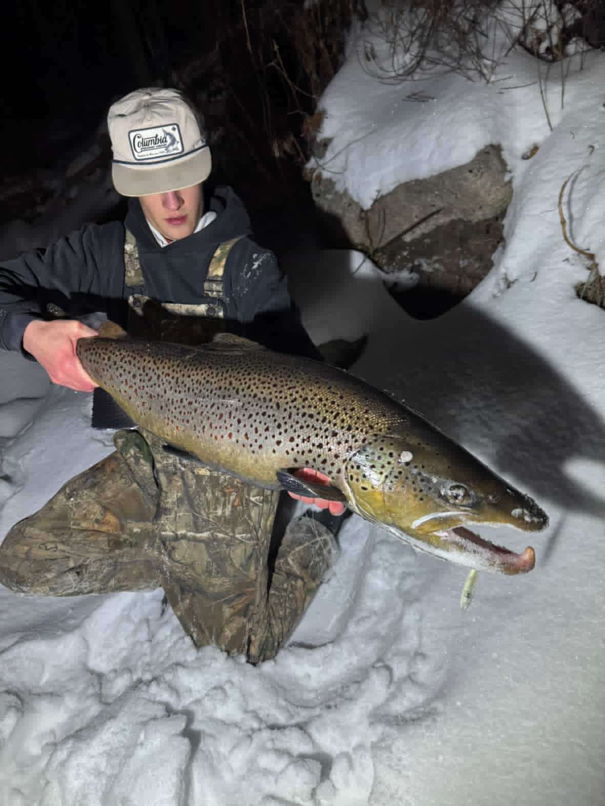 Brown trout with a yellow jigging spoon lure in its mouth, snowy ground