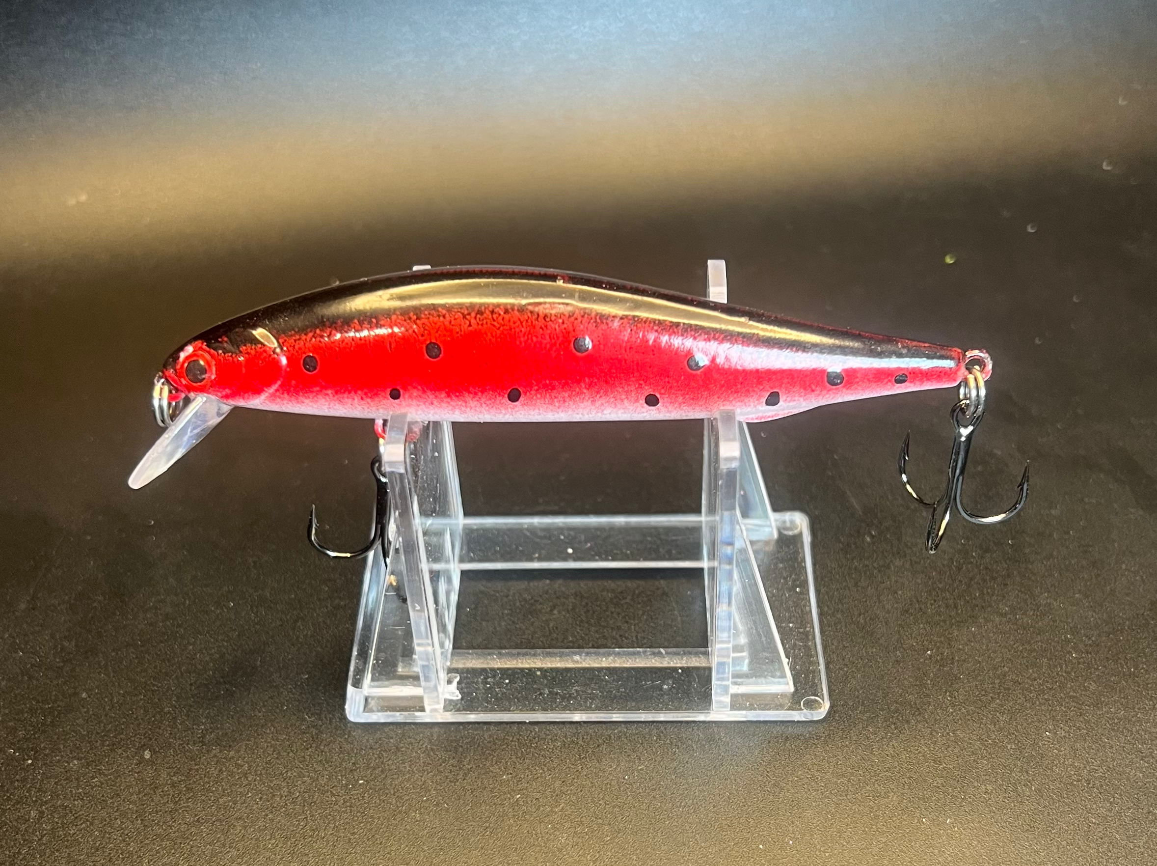 Ladybug Clickbait jerkbait, red with silver belly, black spots, 3 hooks