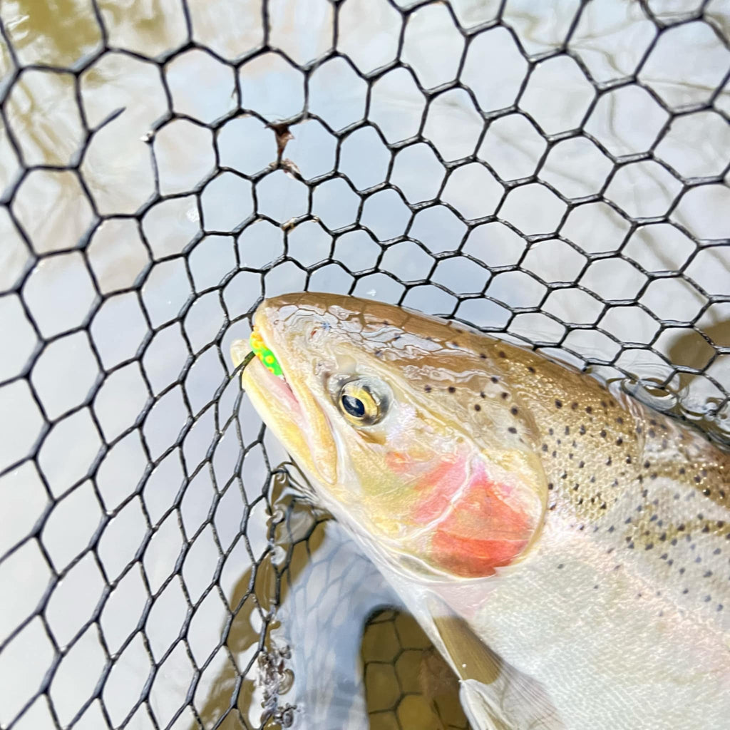 Biohazard 1/16oz Steelhead Tube Jig #4 3X Strong Voodoo Hook image 2
