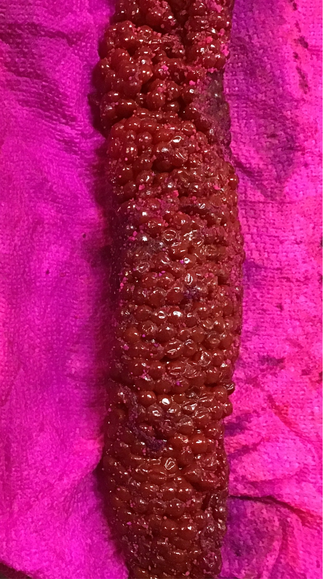 Red coho skein