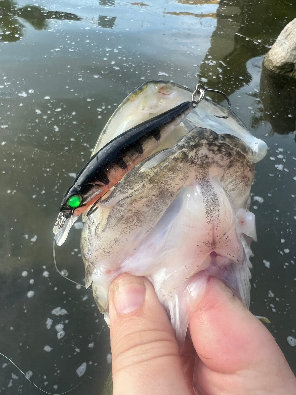 Black and silver jerkbait lure with orange belly and green eye, held over water