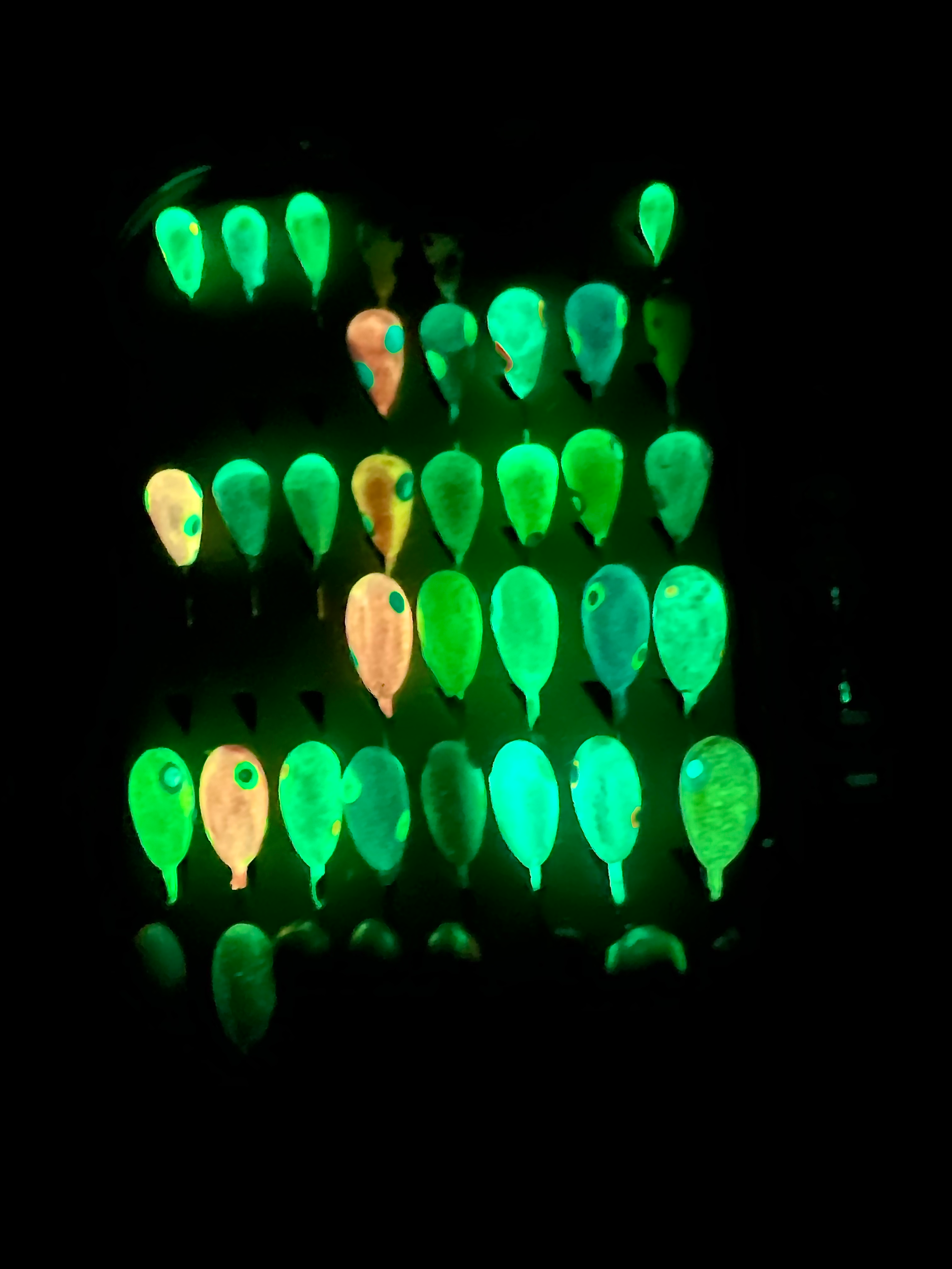 RMA X Northwoods Ice Jig Box Double Sided Jig Box 3x  strong Voodoo hooks image 2