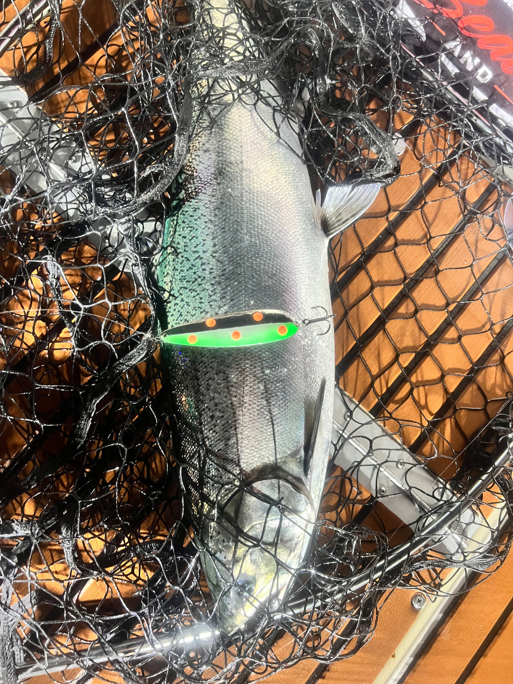 Trolling spoon lure in fishing net, shiny silver body with green and orange dot accents