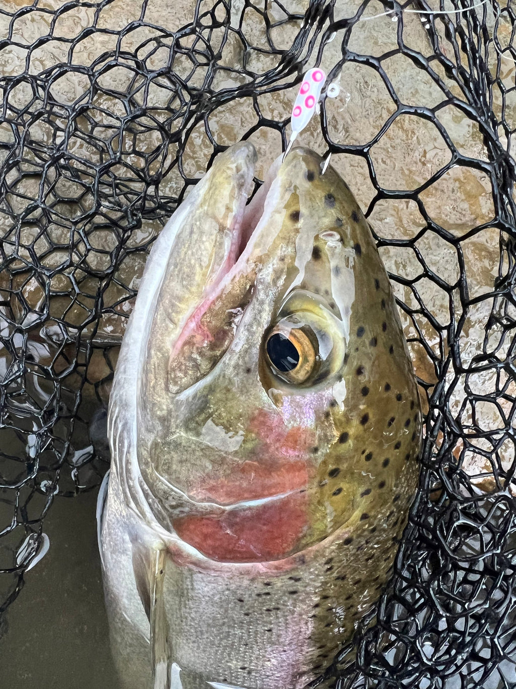 Radioactive  1/16oz Steelhead Tube Jig #4 3X Strong Voodoo Hook image 2