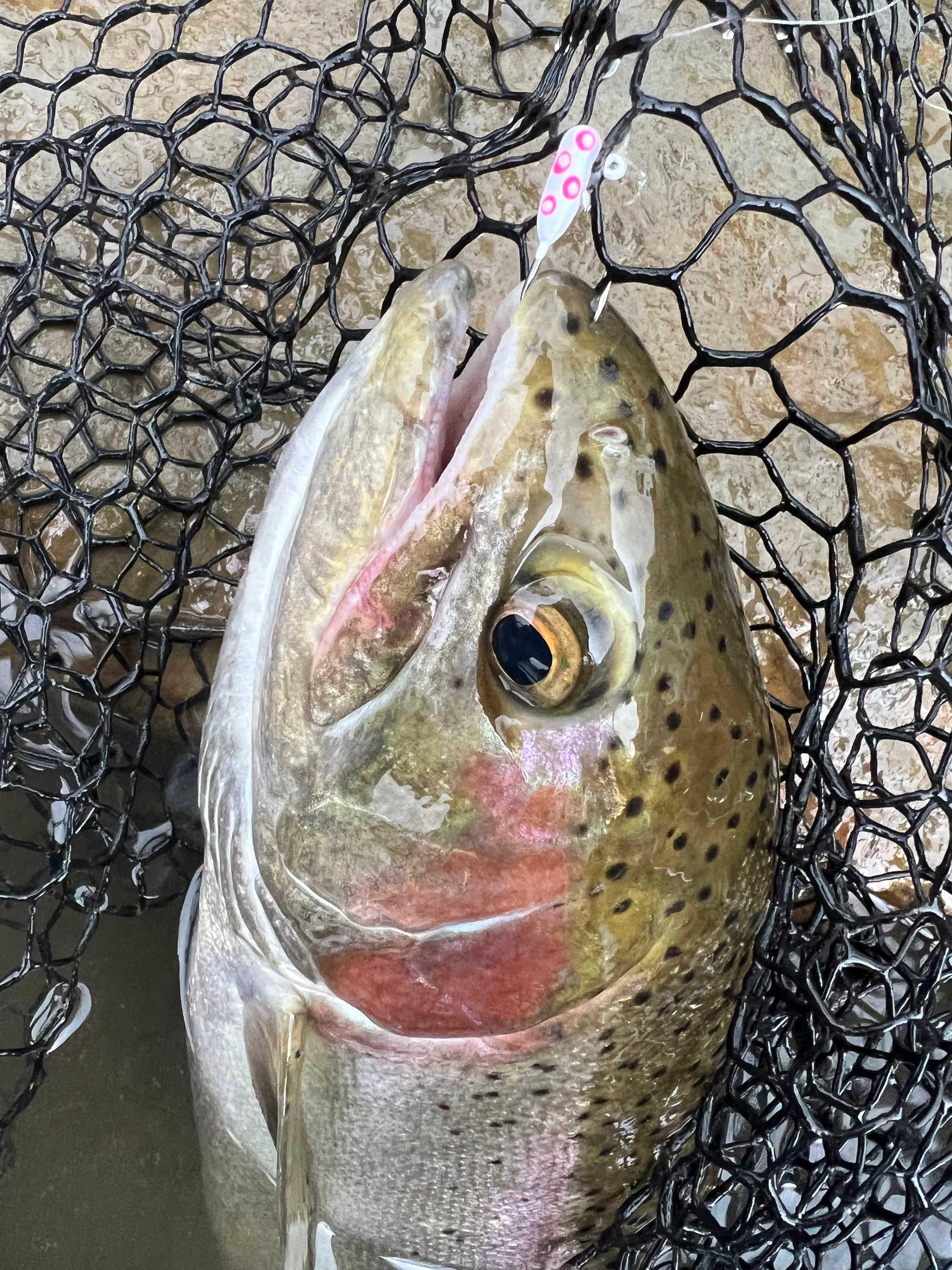 Radioactive  1/16oz Steelhead Tube Jig #4 3X Strong Voodoo Hook image 2