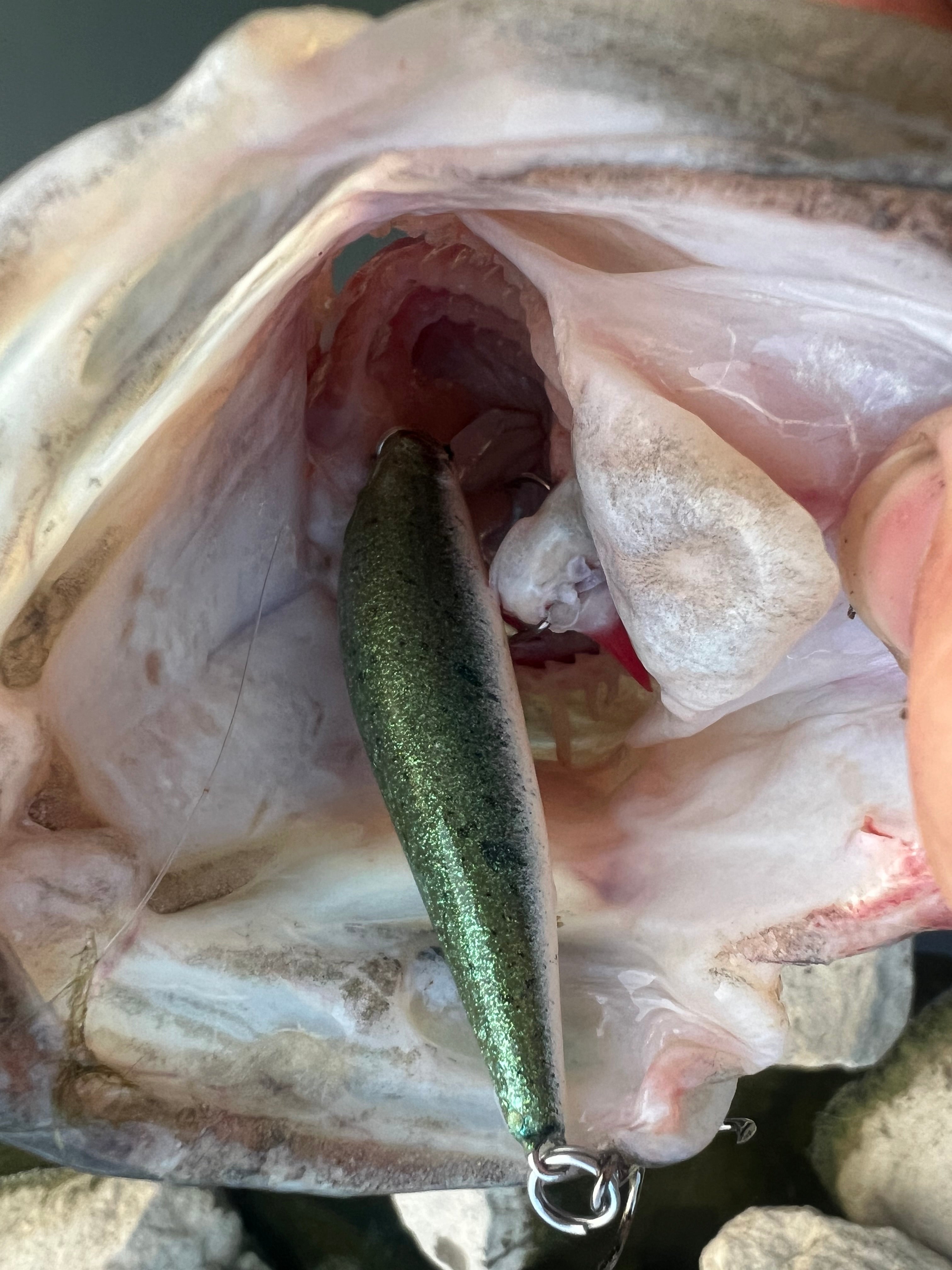 Bassinator Clickbait Series 4.25in 1/2 oz Jerkbait with 3x Hook