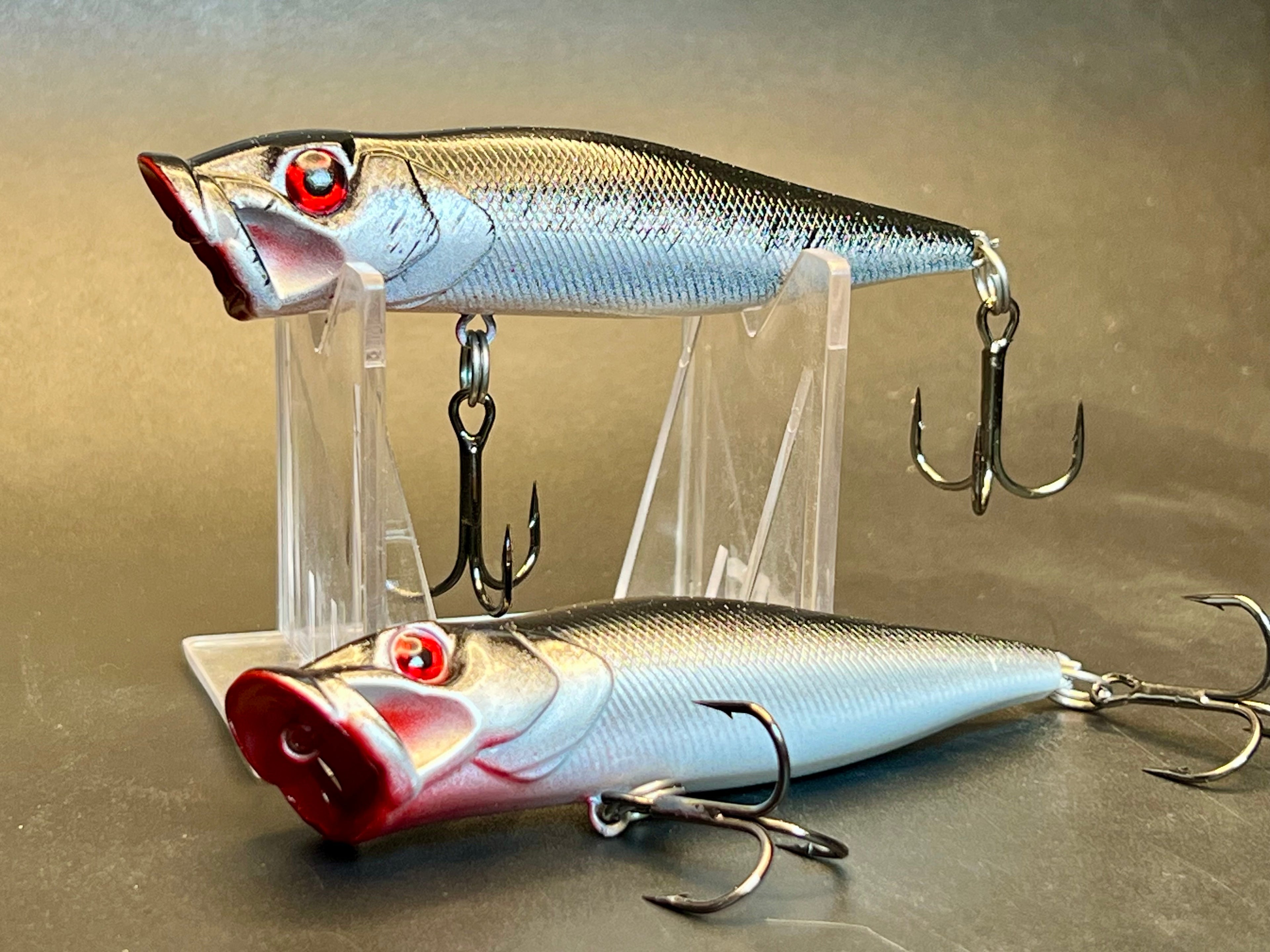 Quicksilver MajorBass Pop-R Top Water Lure