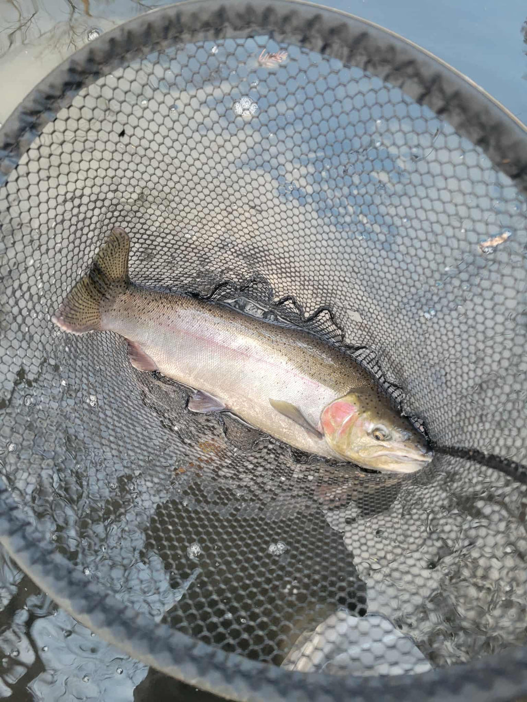 Clown Shoes 1/16 oz Tube Jig 3x Strong #4 Voodoo Hook for Salmon & Steelhead image 6