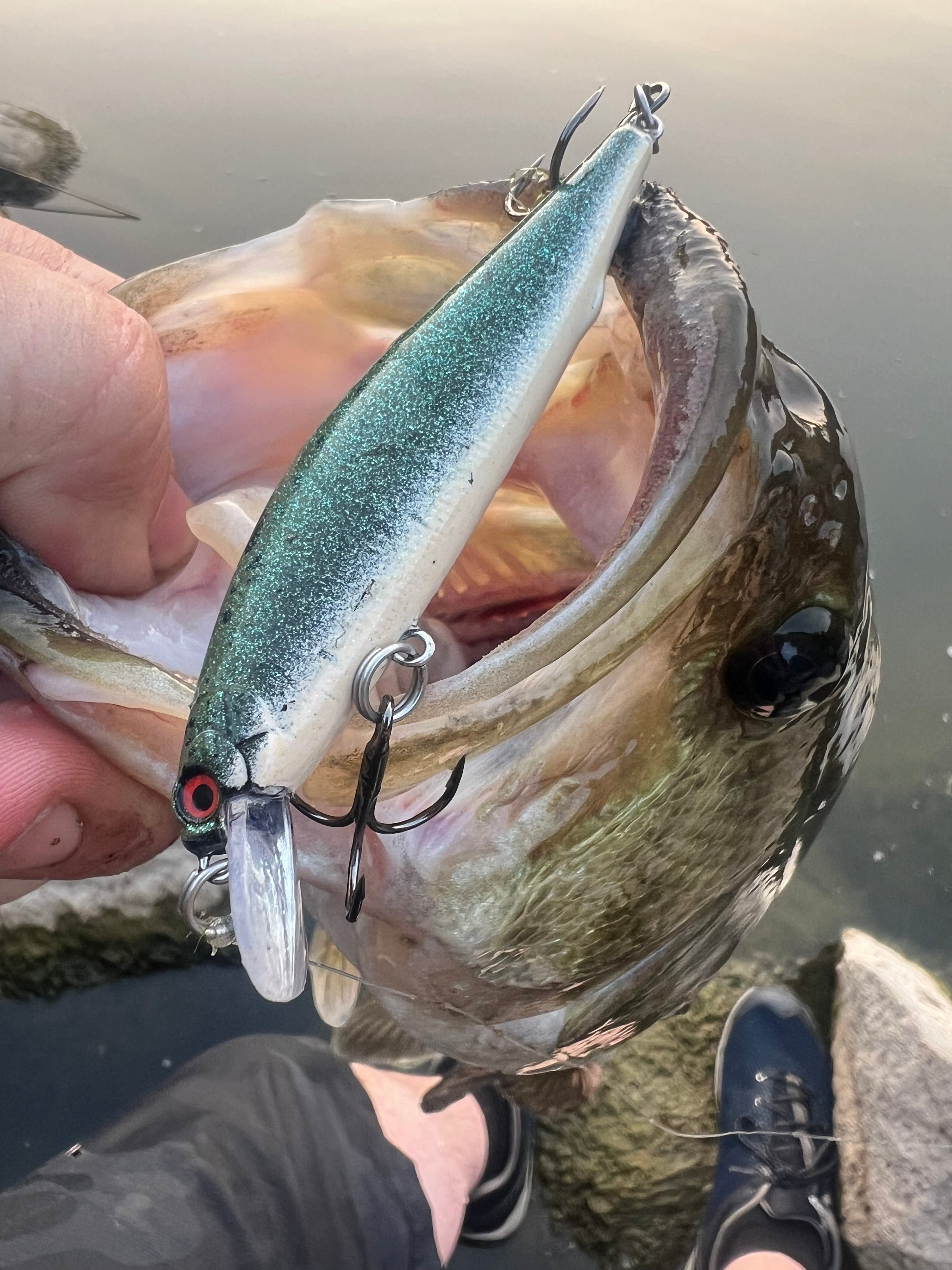 Bassinator Clickbait Series 4.25in 1/2 oz Jerkbait with 3x Hook