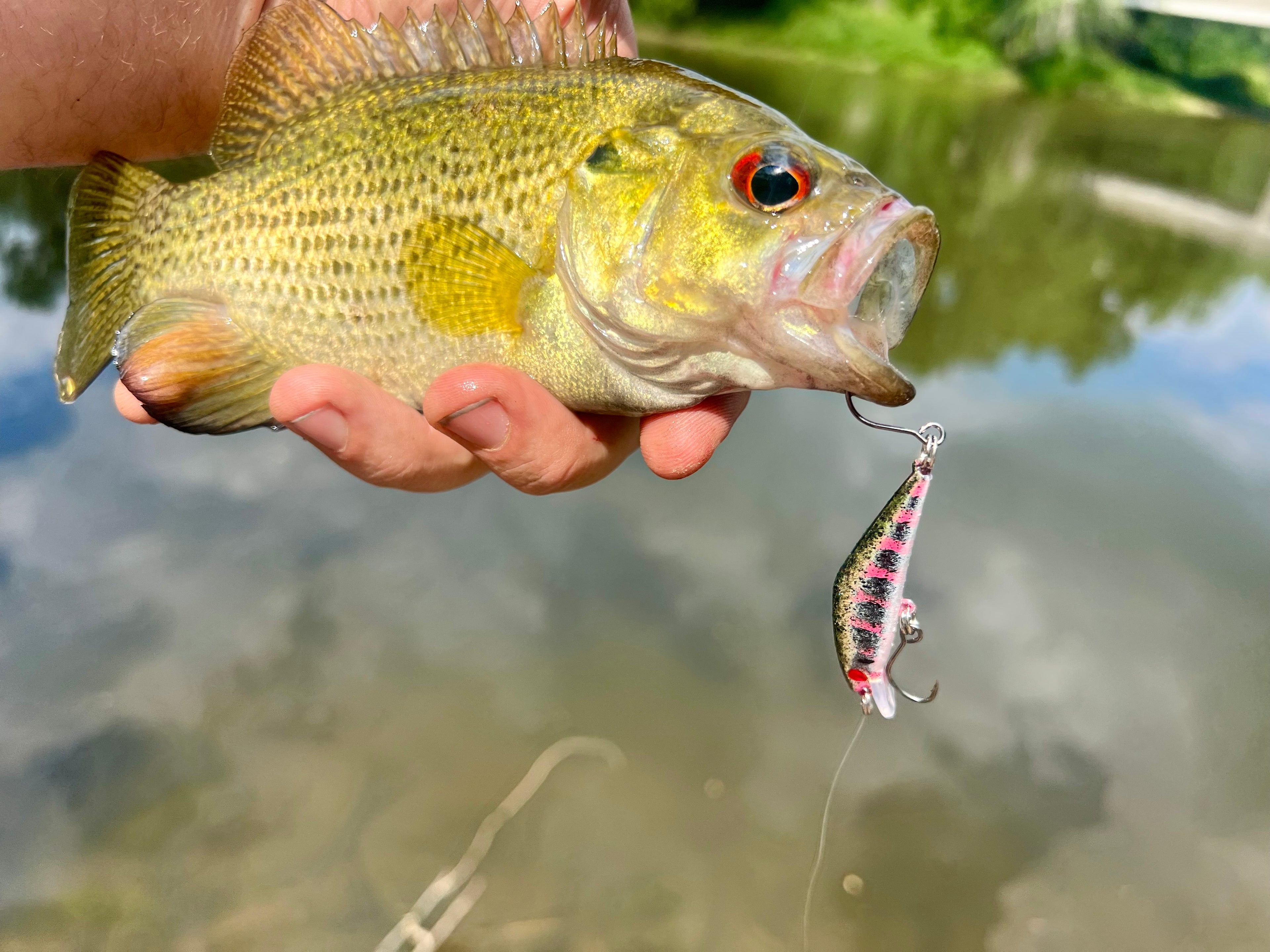 The Smotinator Micro Sinking 2 inch 3g Jerkbait