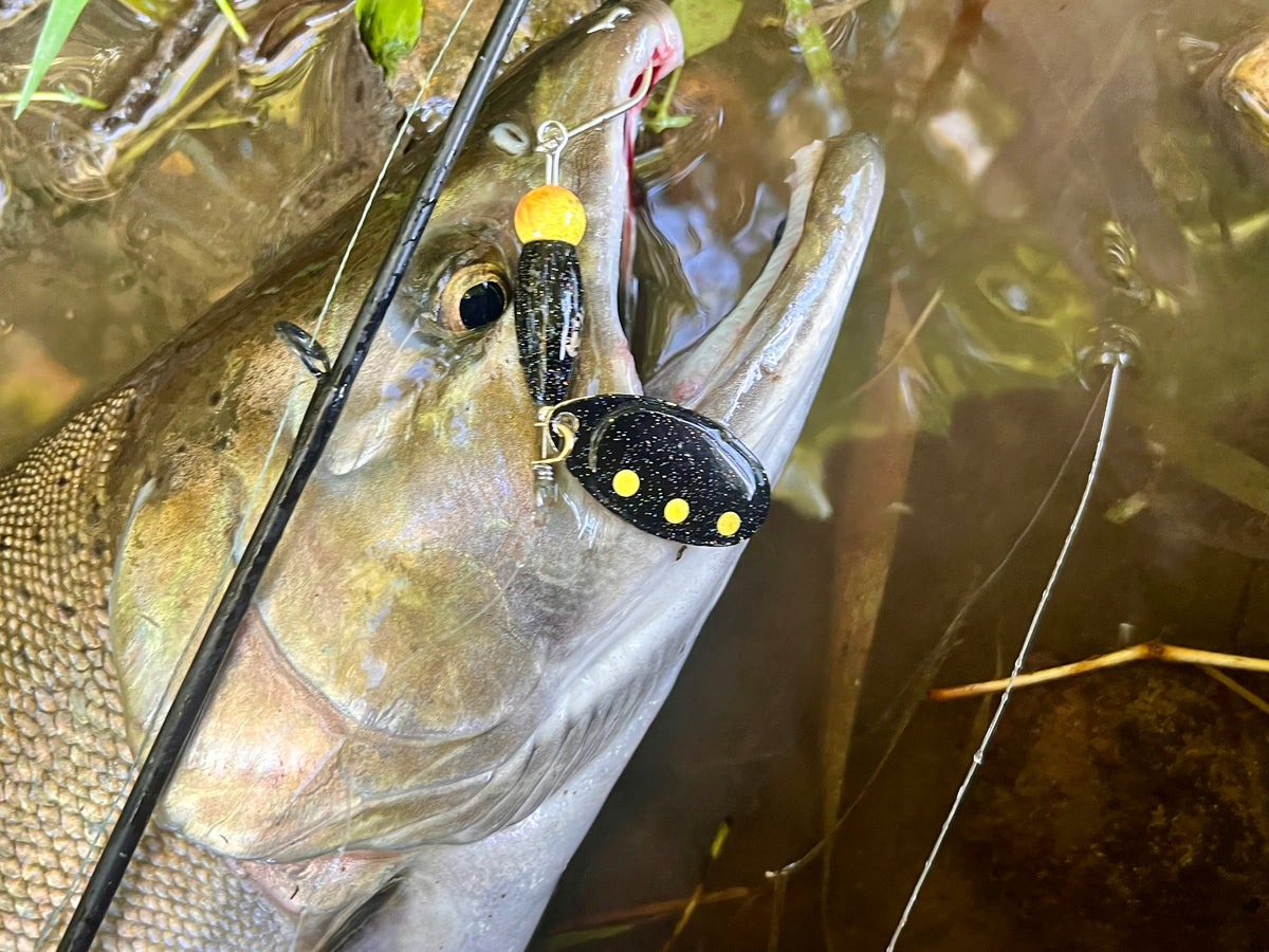 Inline spinner lure and rod near fish head, black body with yellow dot blade
