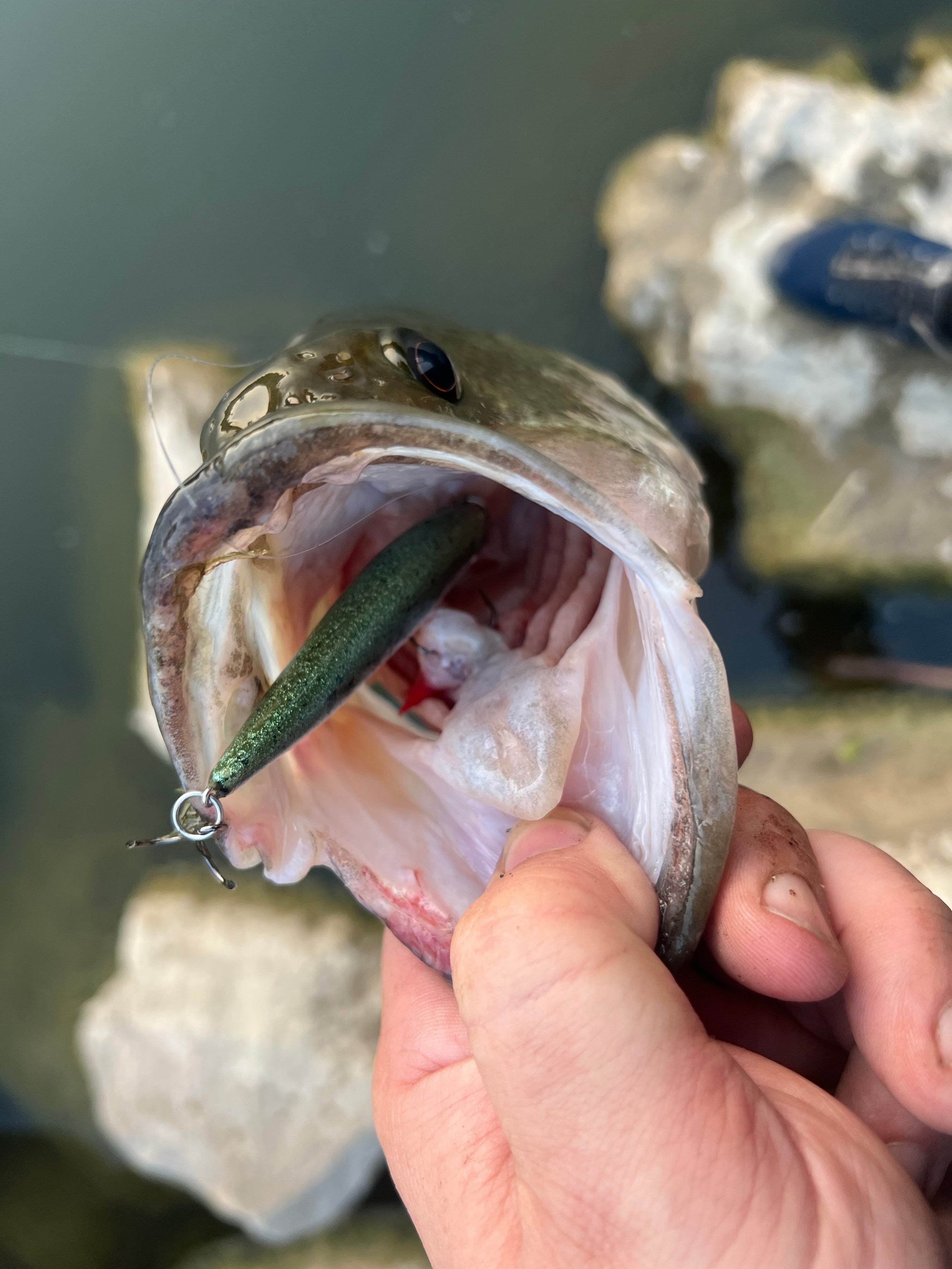 Bassinator Clickbait Series 4.25in 1/2 oz Jerkbait with 3x Hook