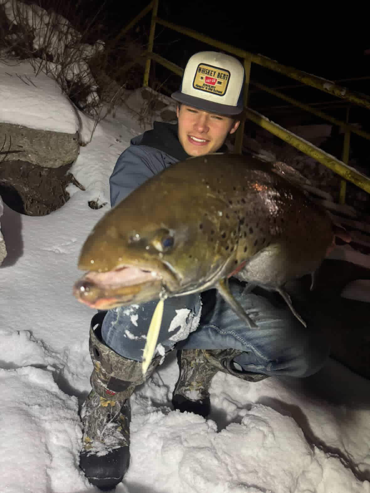 Trout holding a gold jigging spoon lure in its mouth, winter night fishing