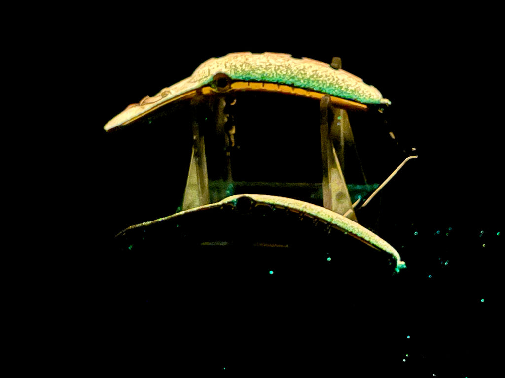 Fishing lure plug in green and gold with hooks and split rings