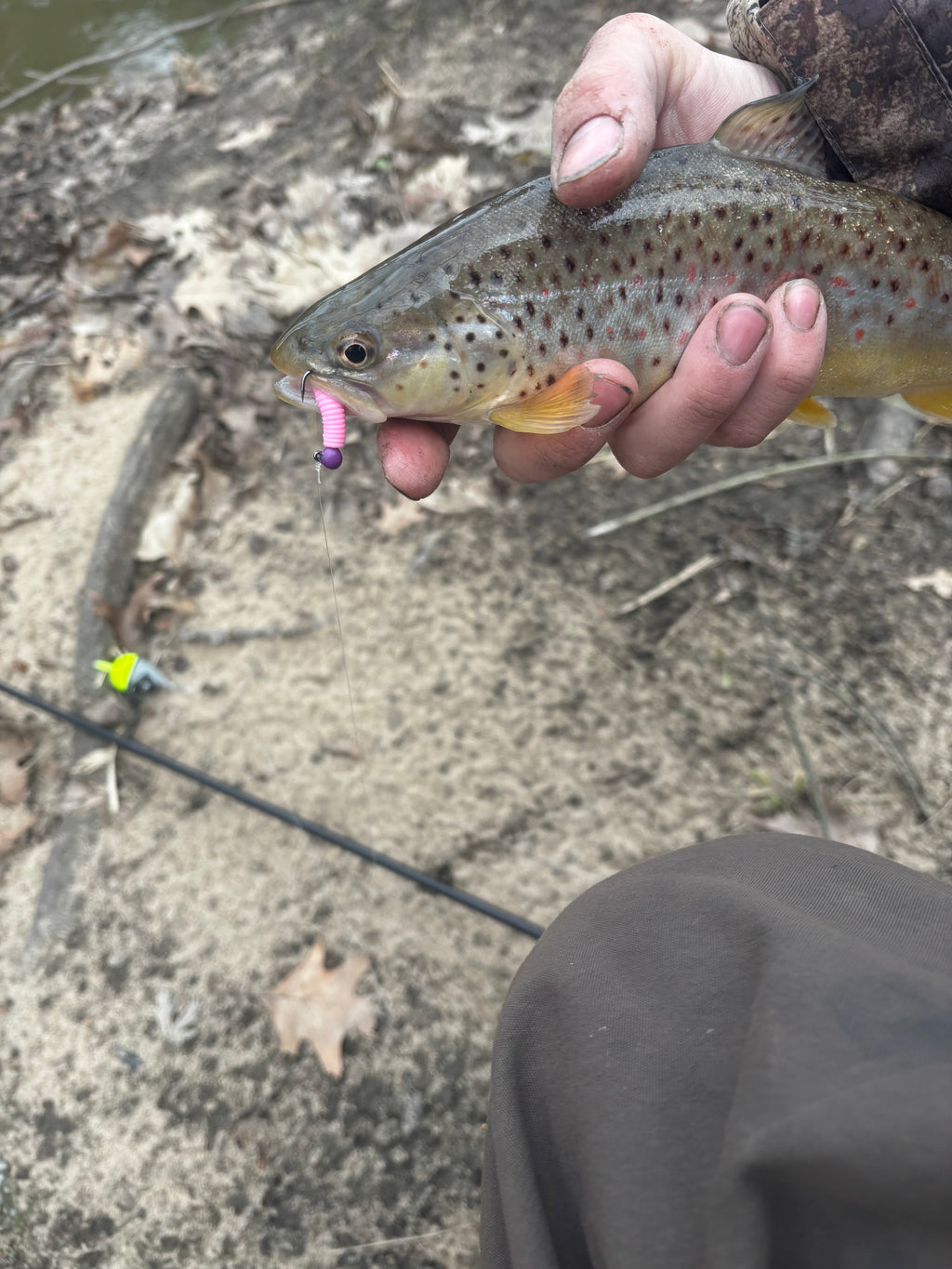 Small green/yellow fishing bobber on ground beside fishing line