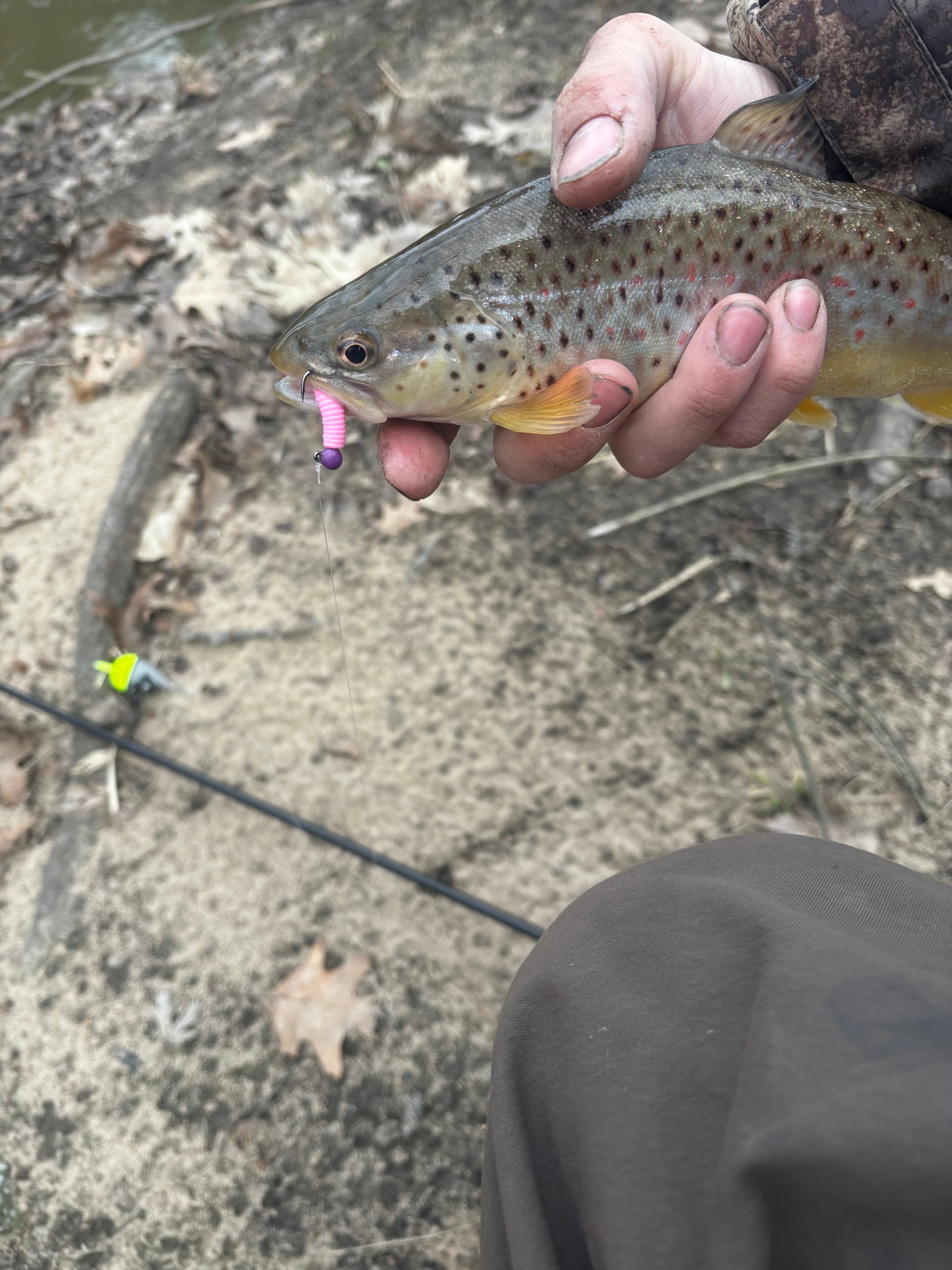 Small green/yellow fishing bobber on ground beside fishing line