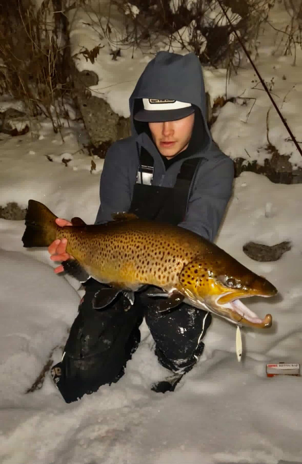Brown trout with a yellow jigging spoon lure in its mouth, snowy outdoor setting