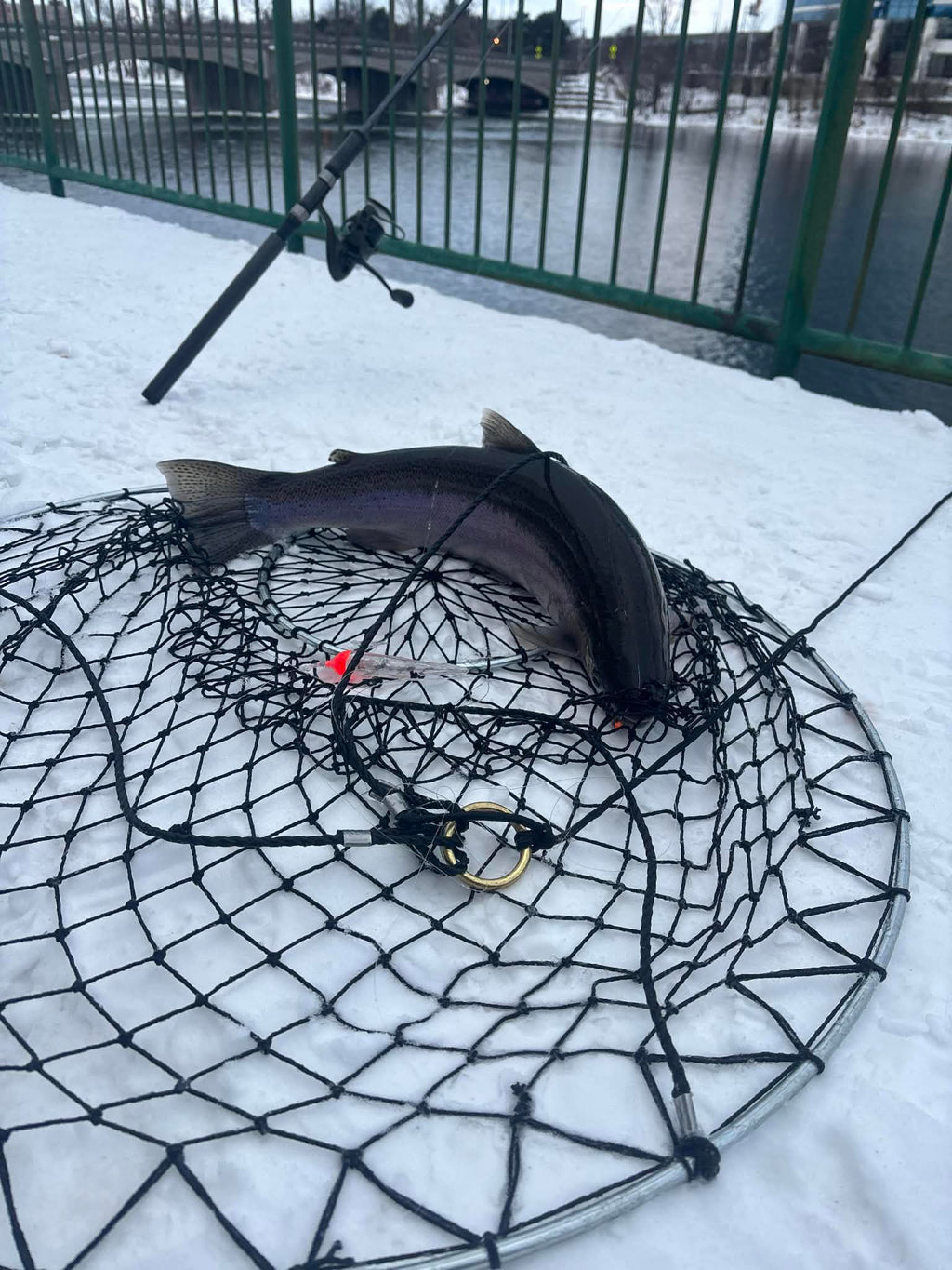 Black fishing net with small fish on mesh surface