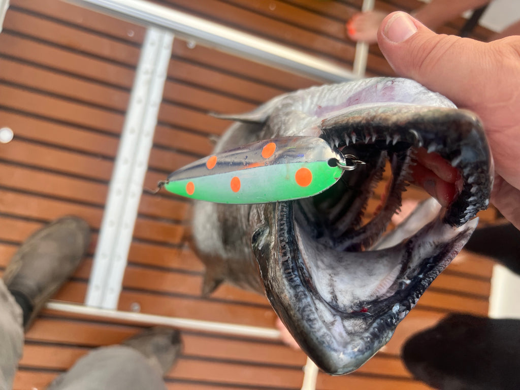 Trolling spoon lure with green body and orange dot pattern, held in fish mouth