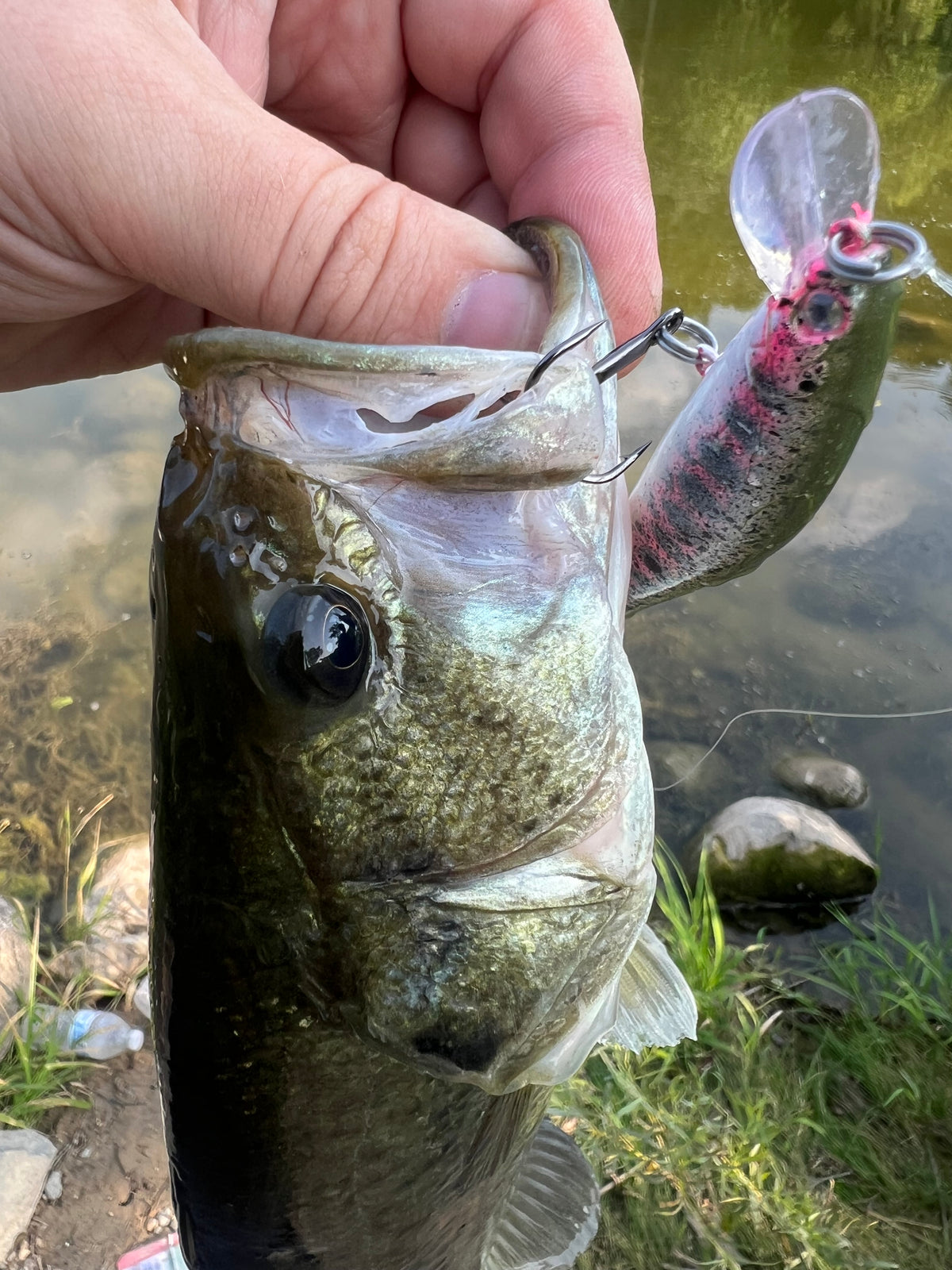 Smoltinator Clickbait Series 4.25in 1/2 oz Jerkbait with 3x  hook