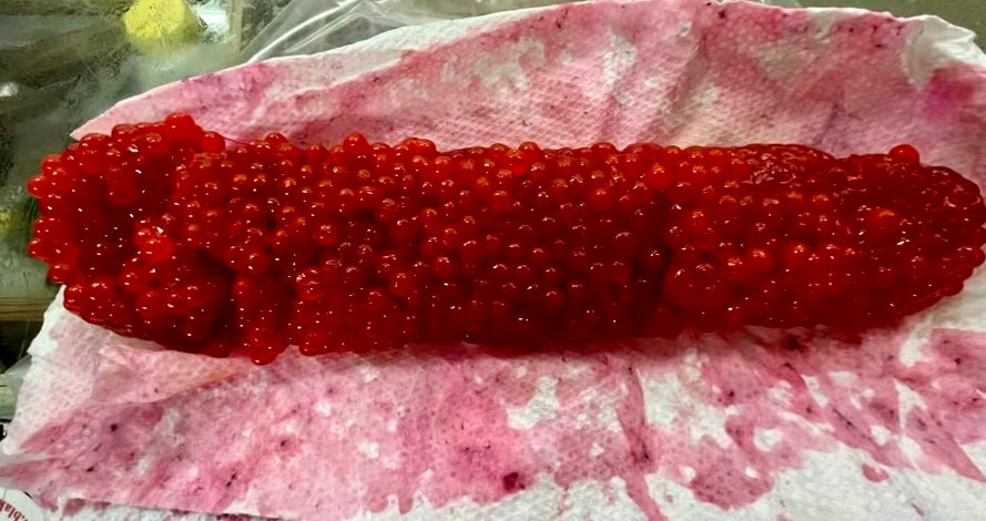 Red salmon eggs piled on parchment paper, fresh roe for serving