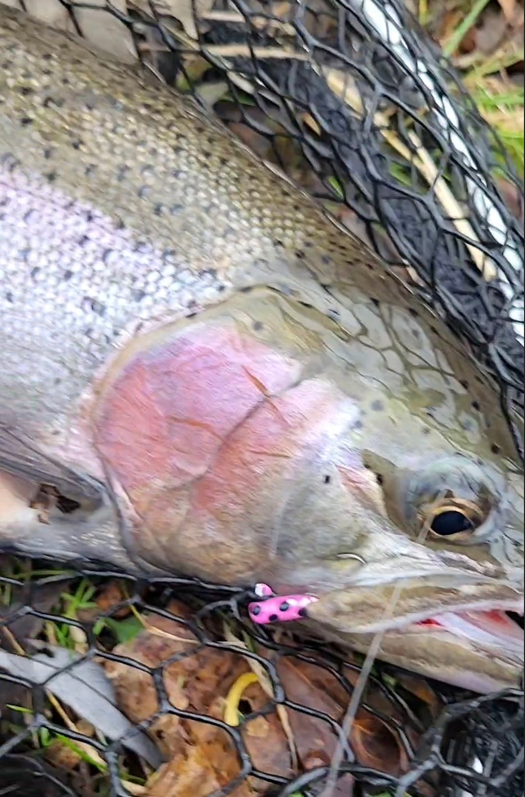 Toxic Waste UV Glow 1/16  oz Steelhead Tube Jig #6 3X Strong Voodoo Hook image 2