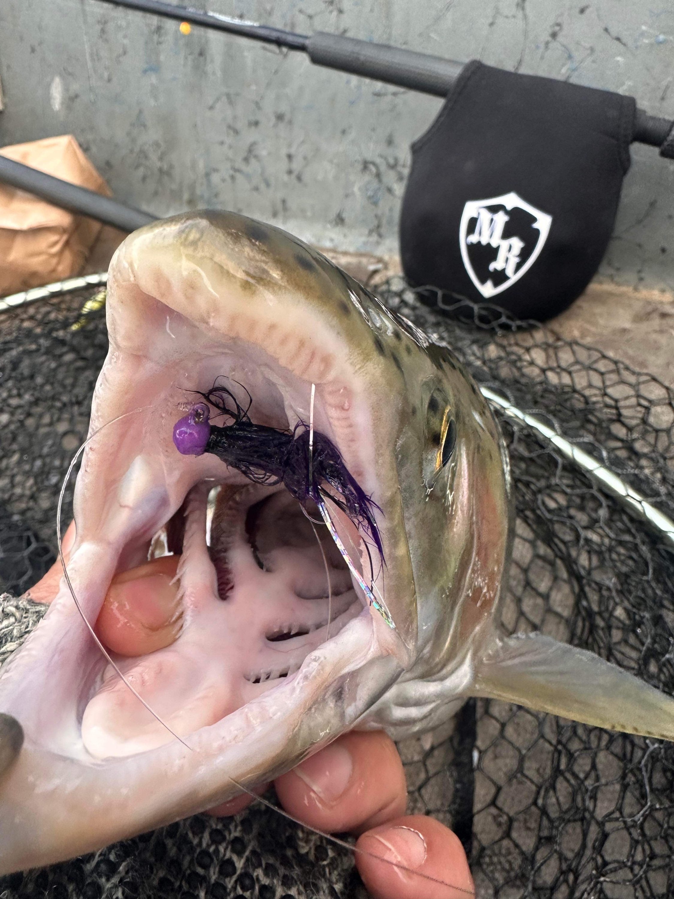 Purple Reign 1/32 oz Maribou Steelhead Jig  #4 Hook image 4