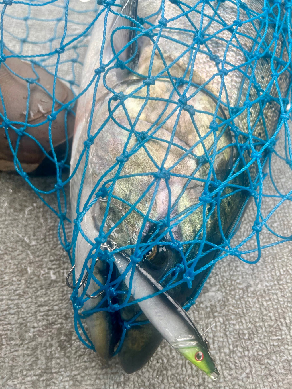 Jigging spoon in blue net: silver body with green-yellow eye