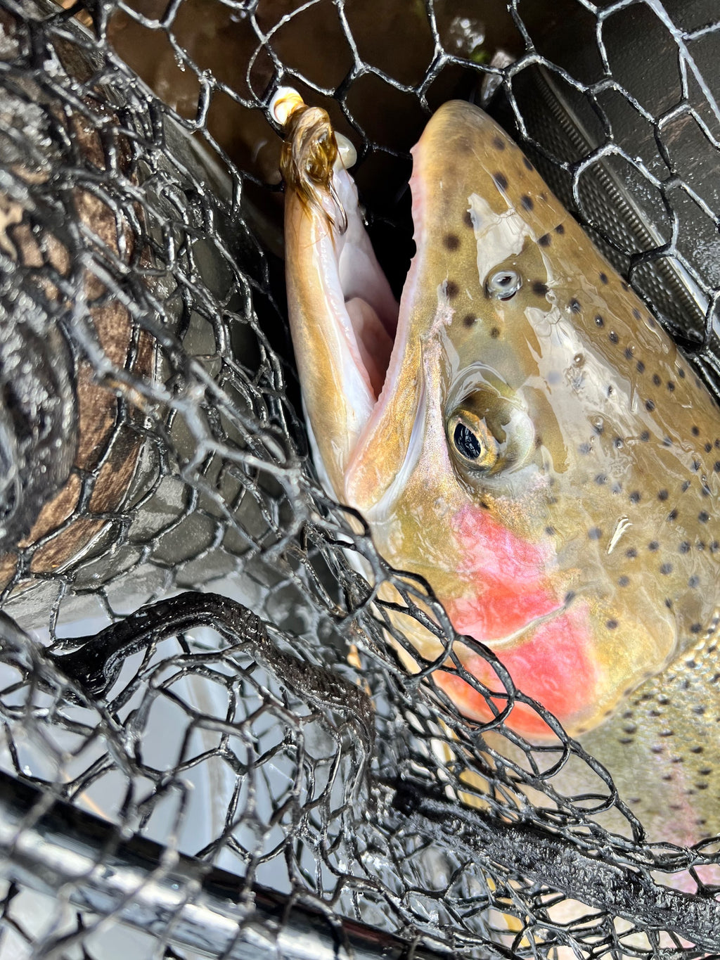 Olive Burger  1/32 oz Maribou Steelhead Jig  #4 Hook image 3