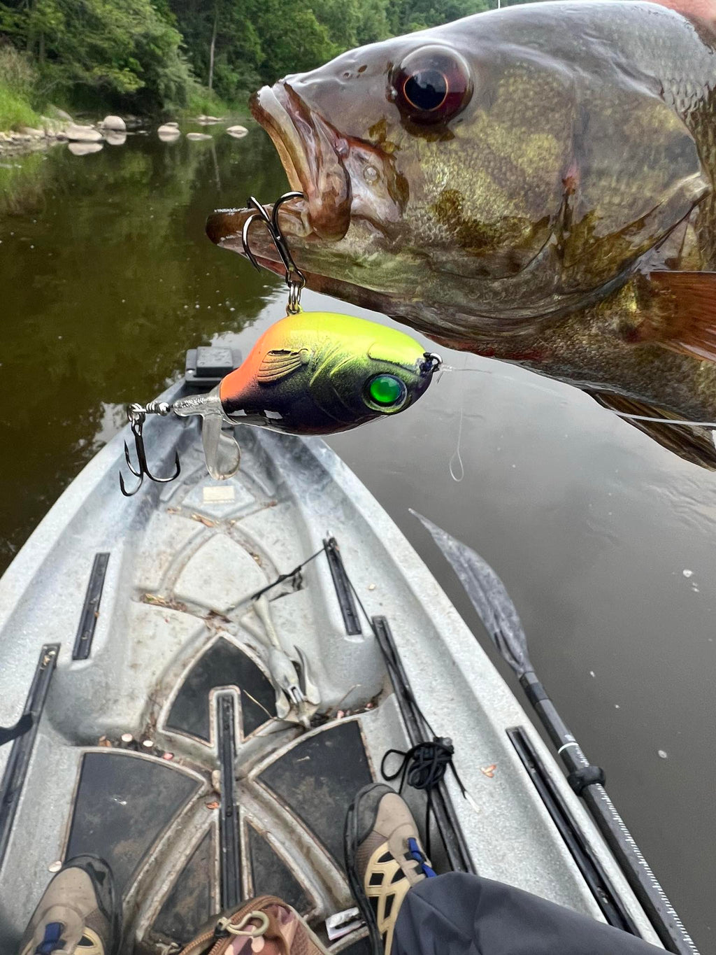 Green/orange 75mm plopper lure with 3 hooks, on fish