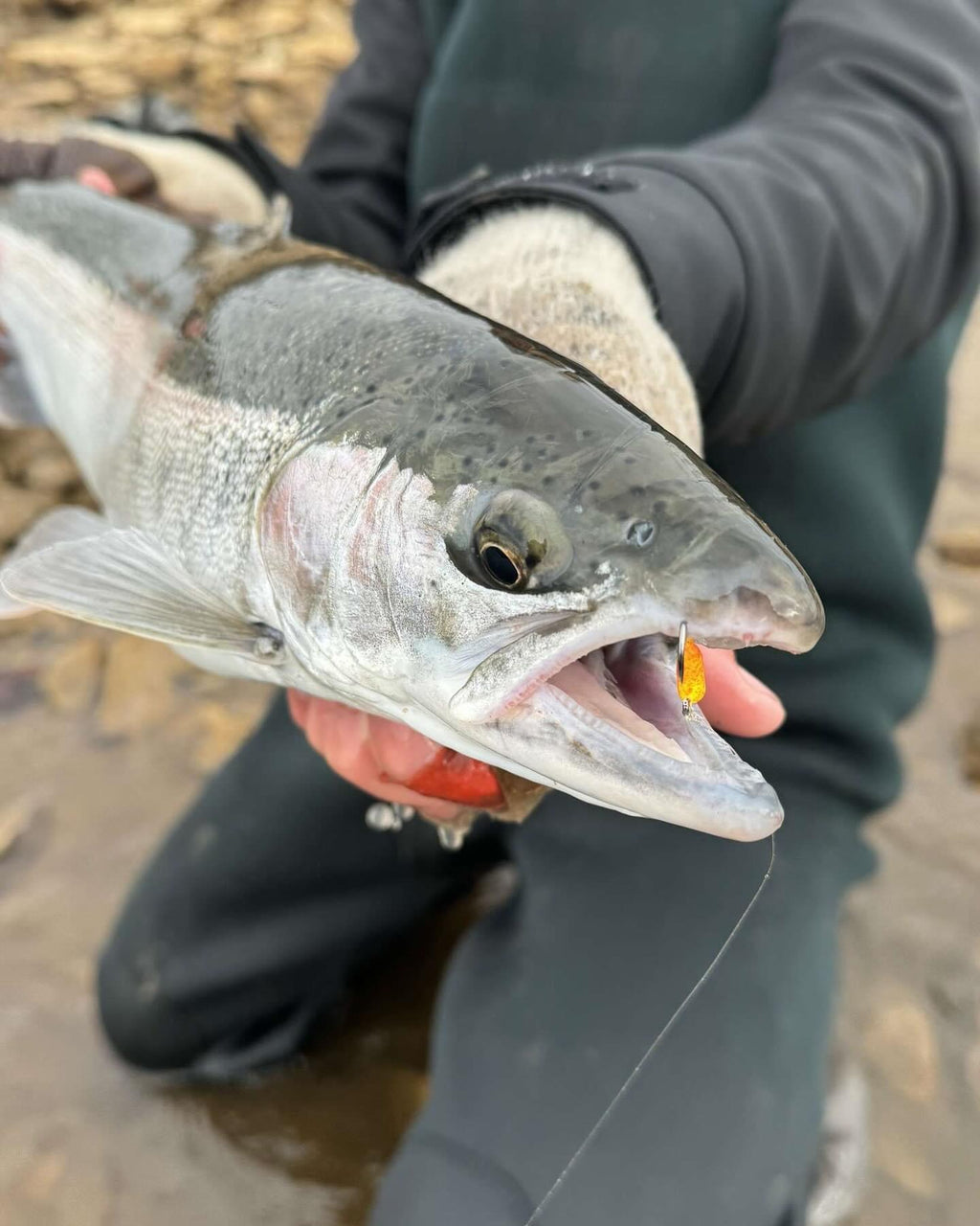 Hand holding silver fish with yellow lure hook